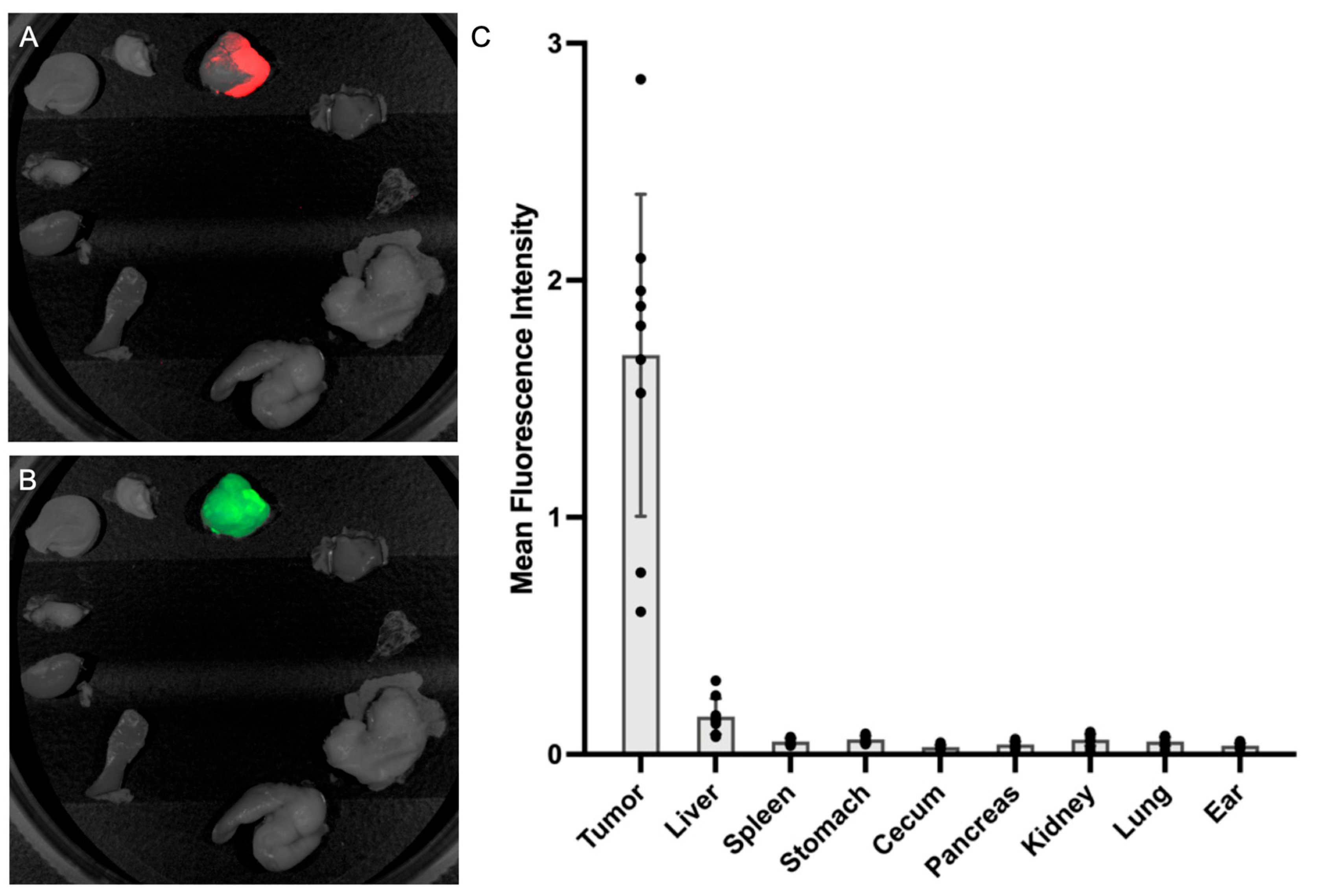 Cancers 16 03341 g007