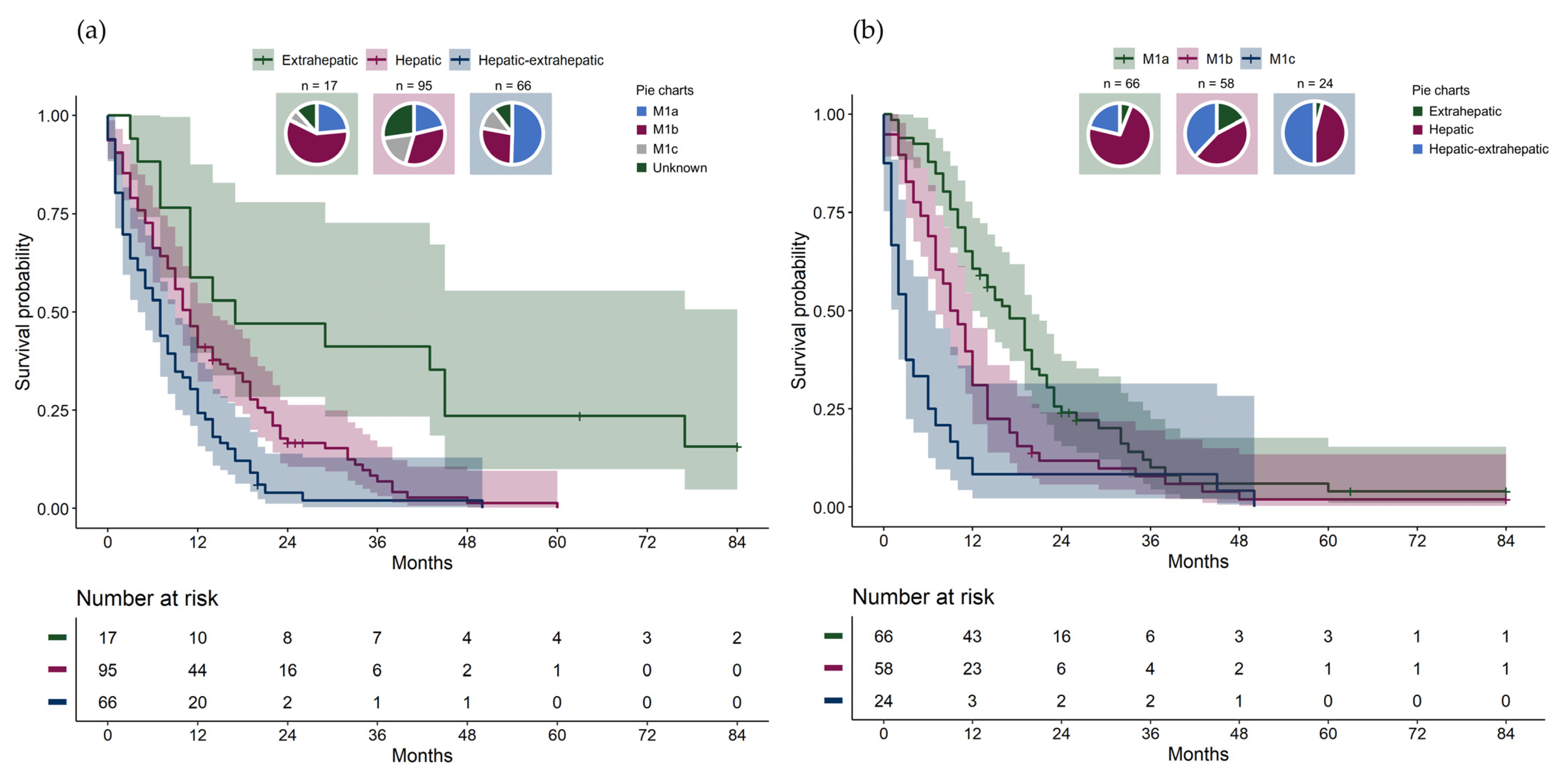 Cancers 16 03346 g001