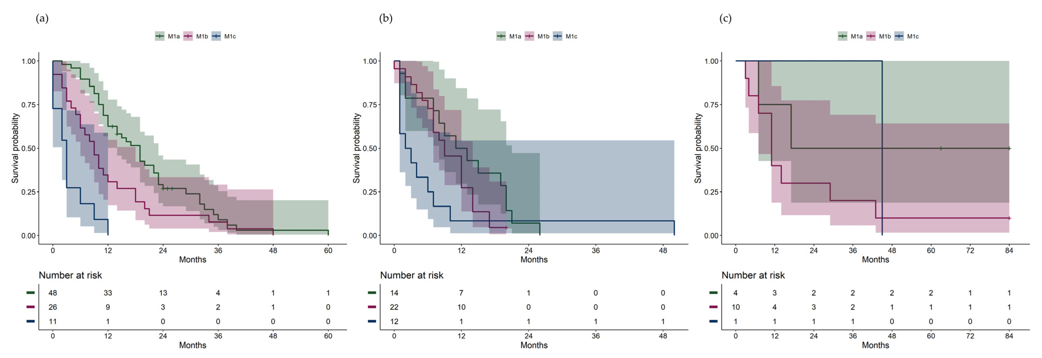 Cancers 16 03346 g002