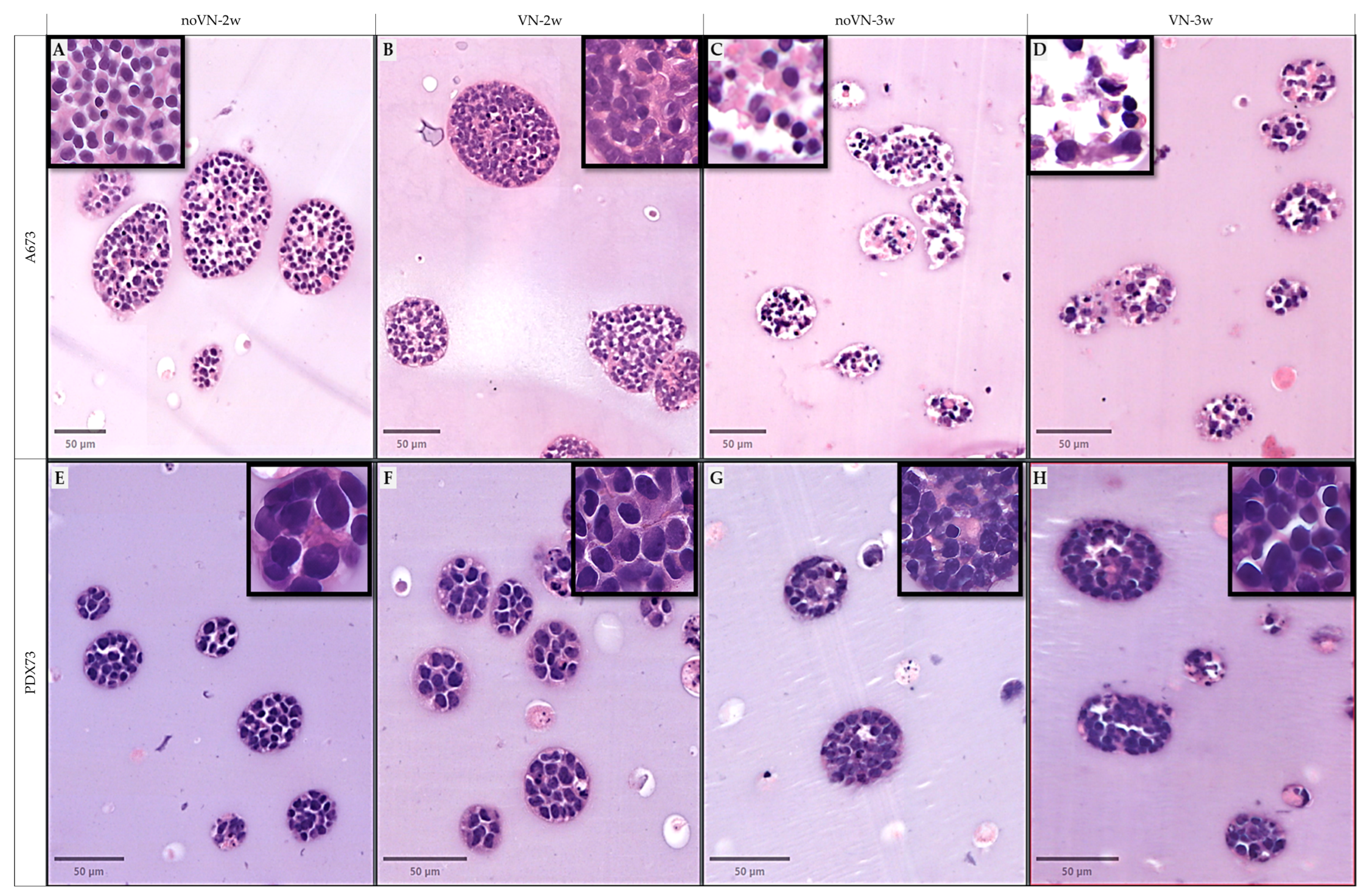 Cancers 16 03347 g003 Cancers 16 03347 g003