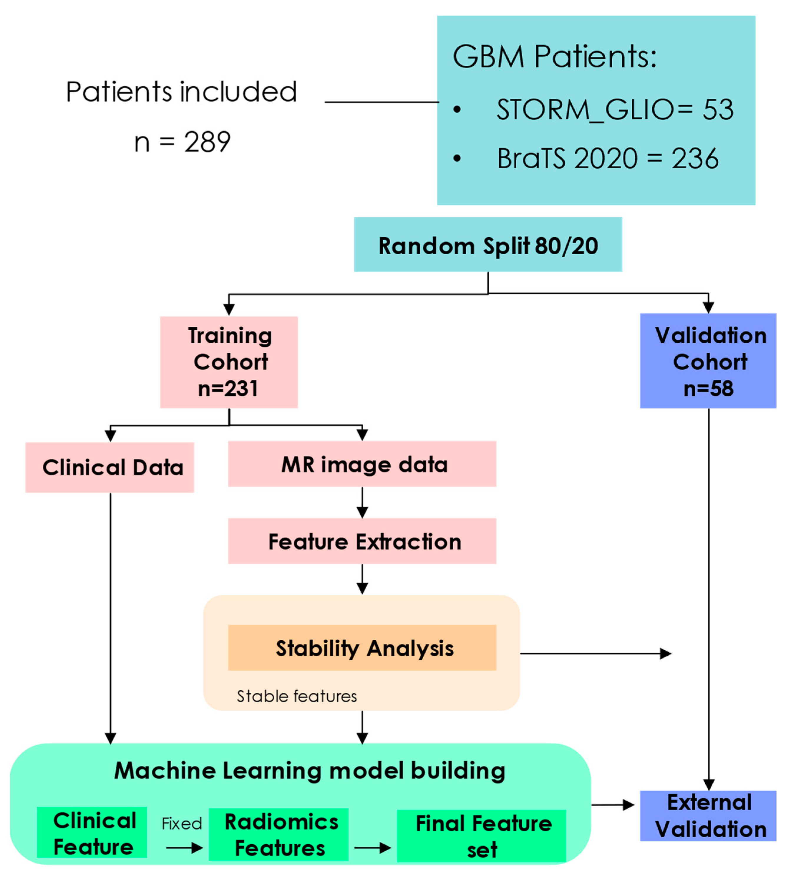 Cancers 16 03351 g001