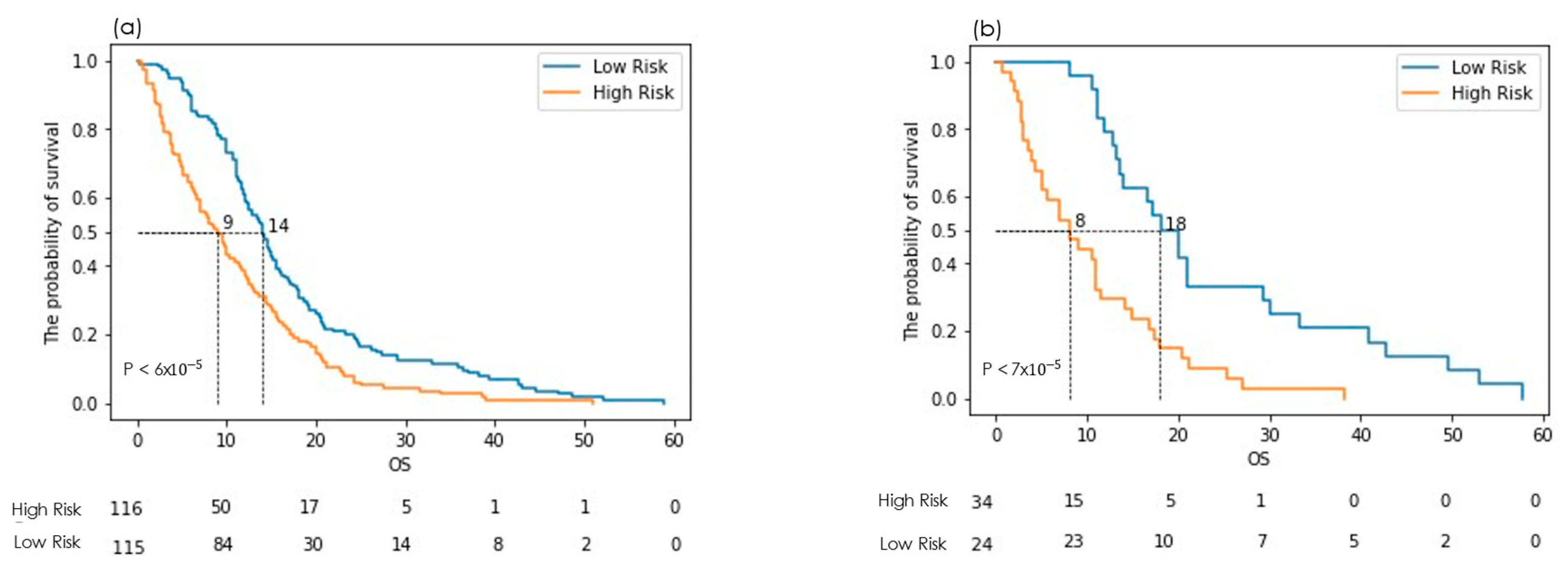 Cancers 16 03351 g004