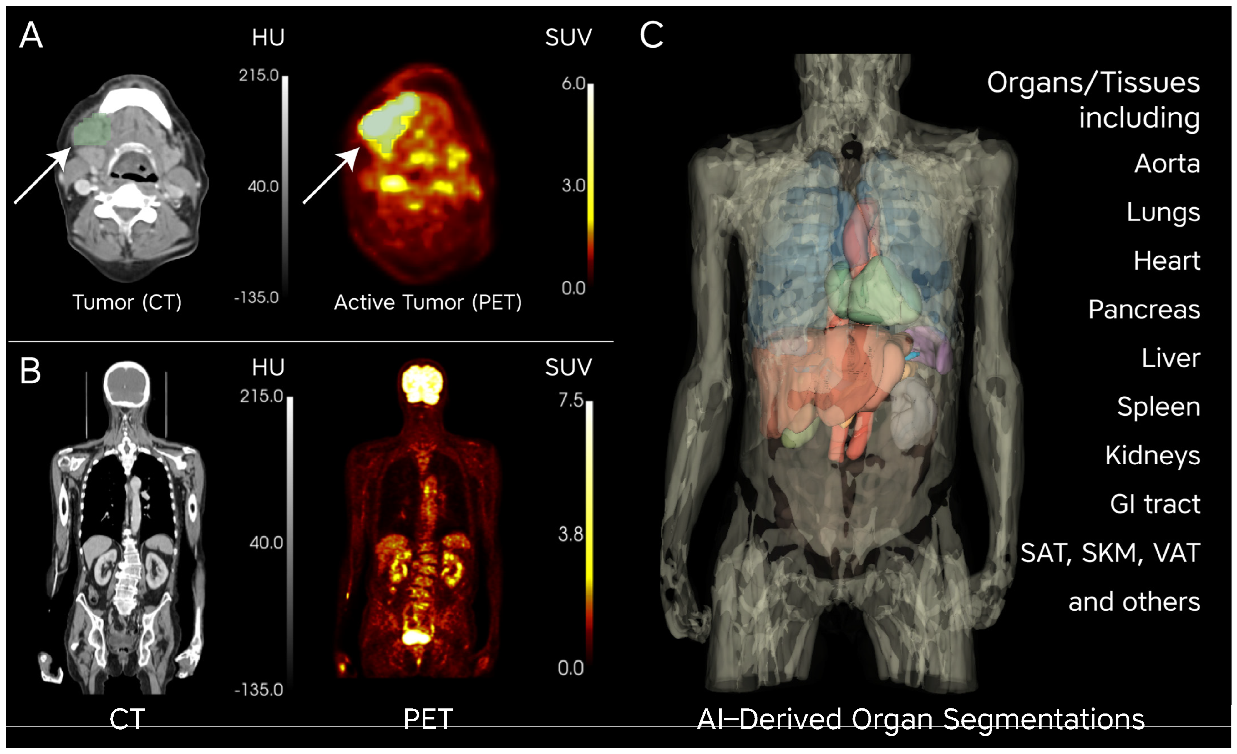 Cancers 16 03352 g002