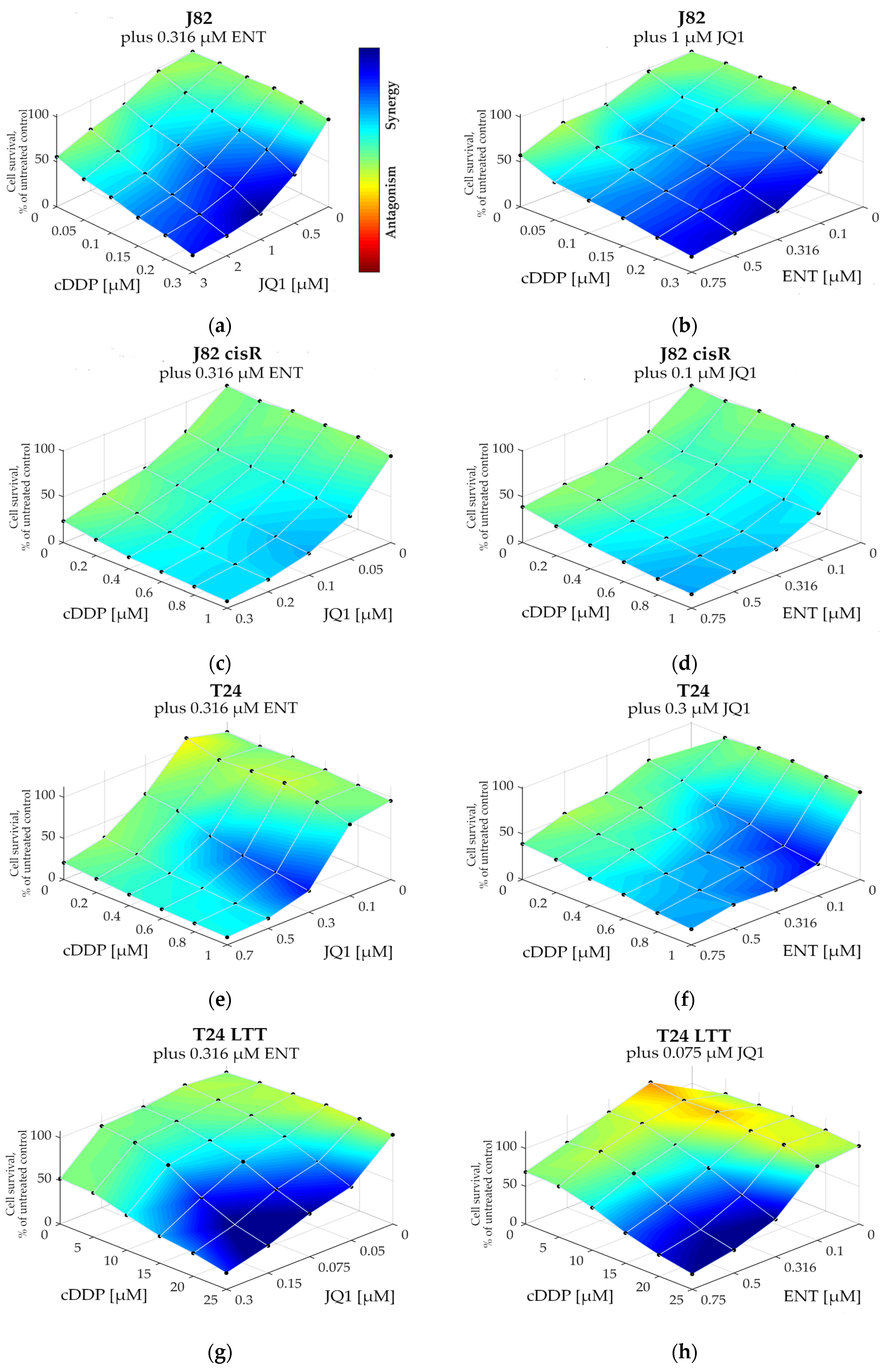 Cancers 16 03374 g003 Cancers 16 03374 g003