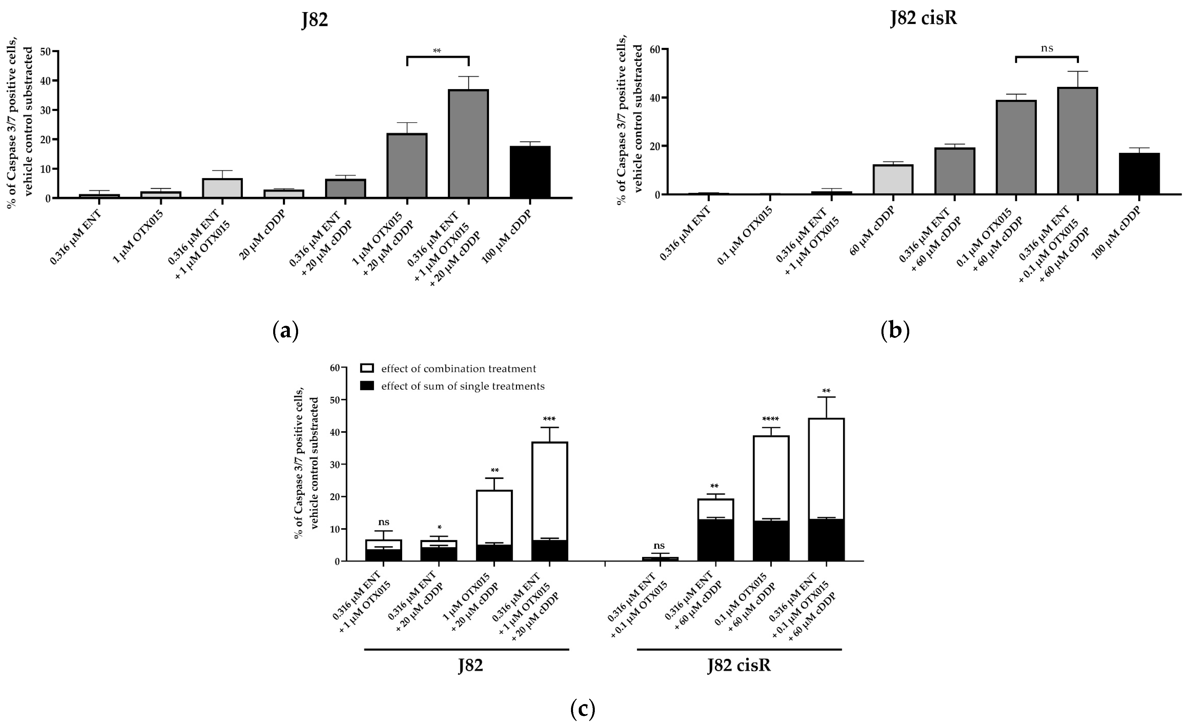 Cancers 16 03374 g012 Cancers 16 03374 g012
