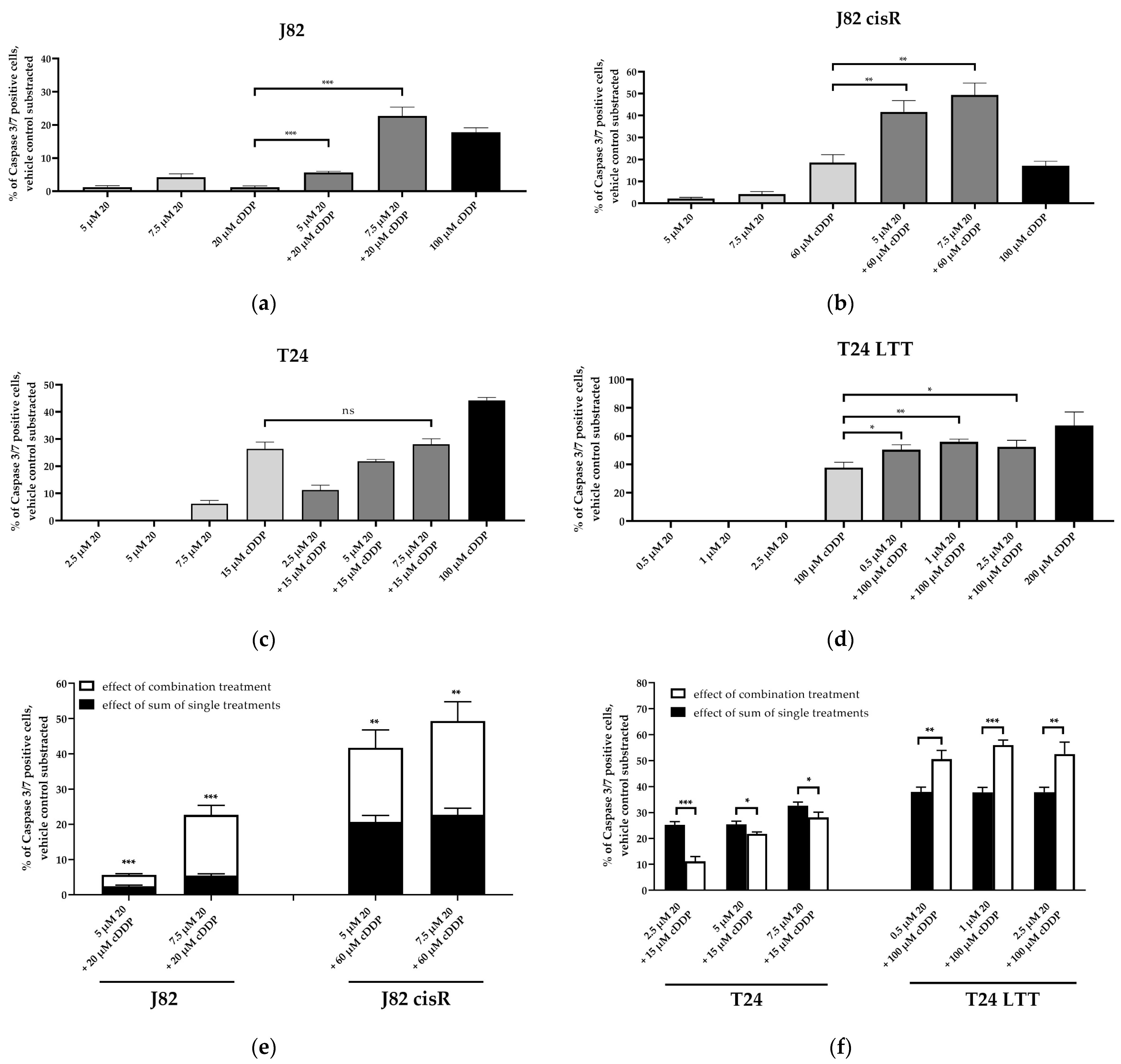 Cancers 16 03374 g013 Cancers 16 03374 g013