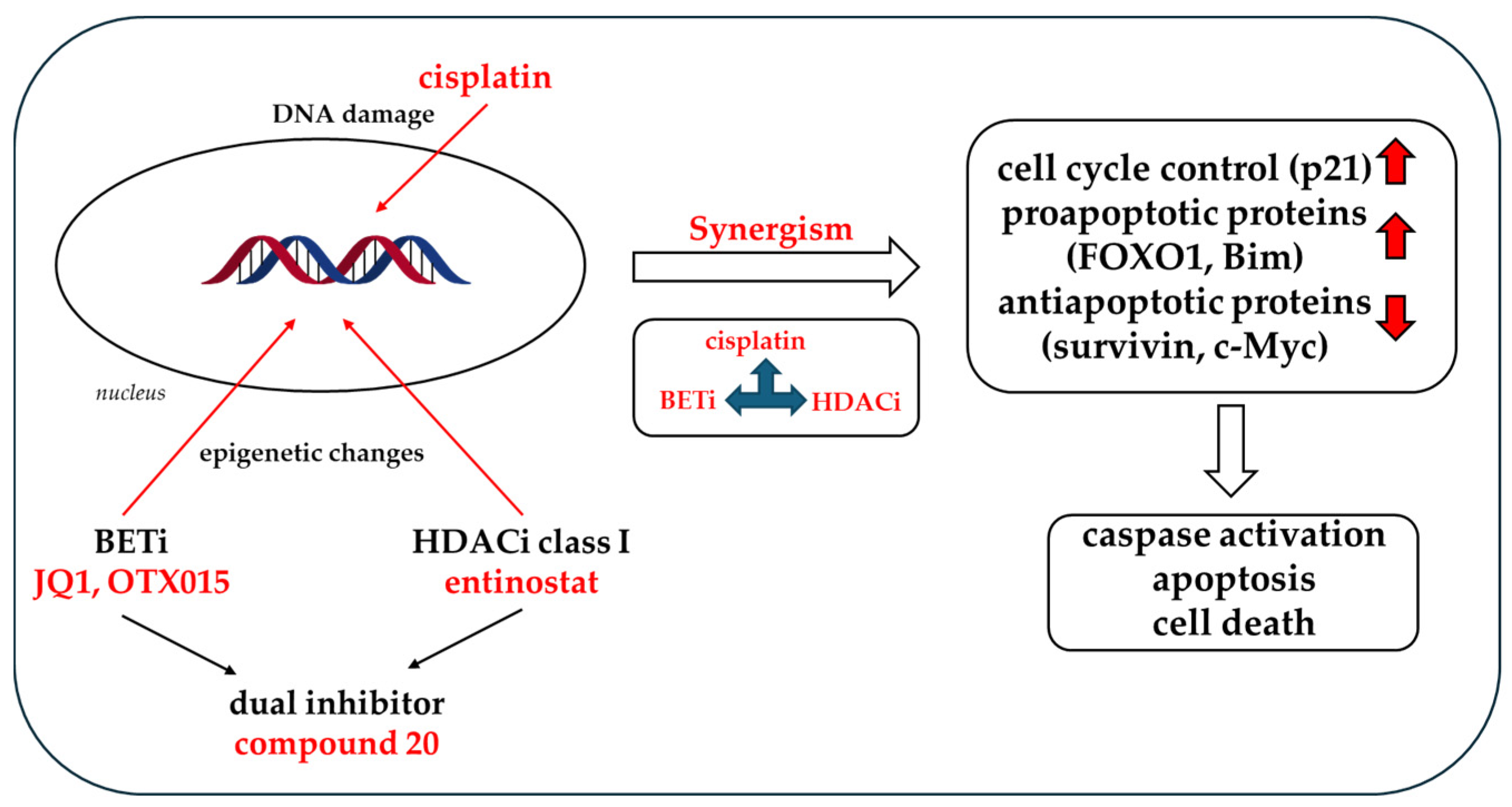 Cancers 16 03374 g017 Cancers 16 03374 g017