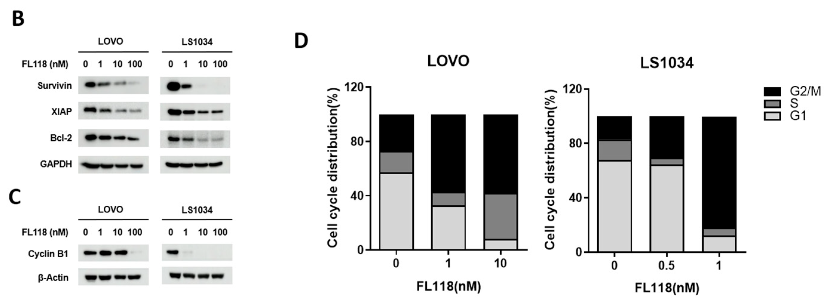 Cancers 16 03385 g001b