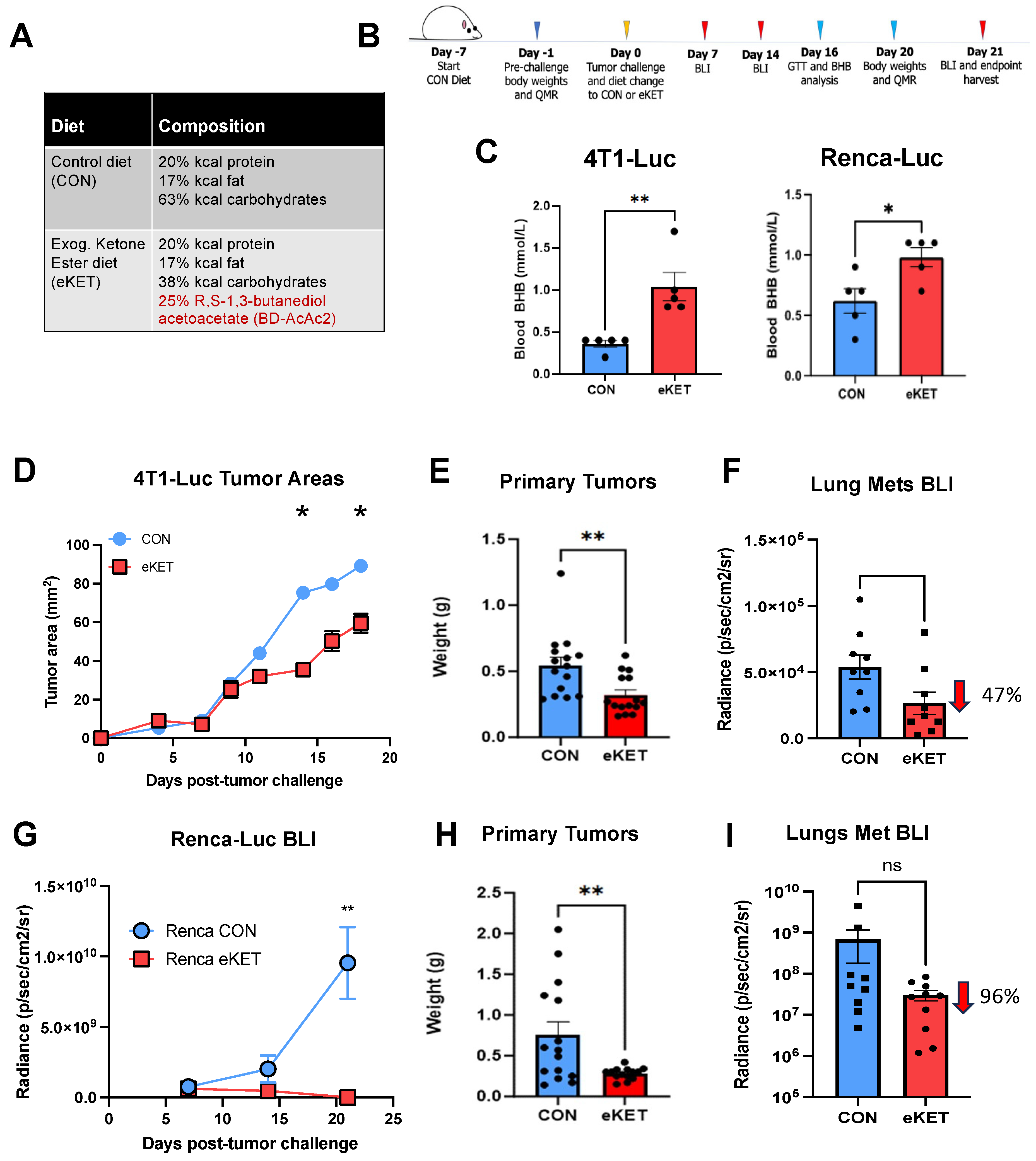 Cancers 16 03390 g002