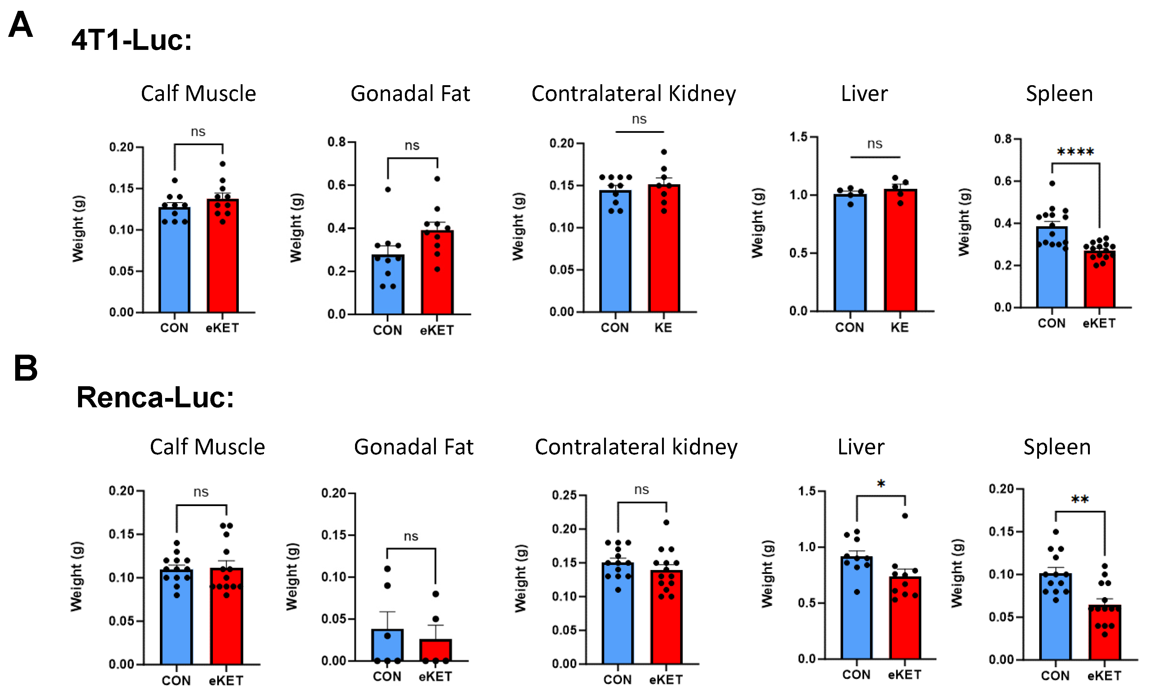 Cancers 16 03390 g003