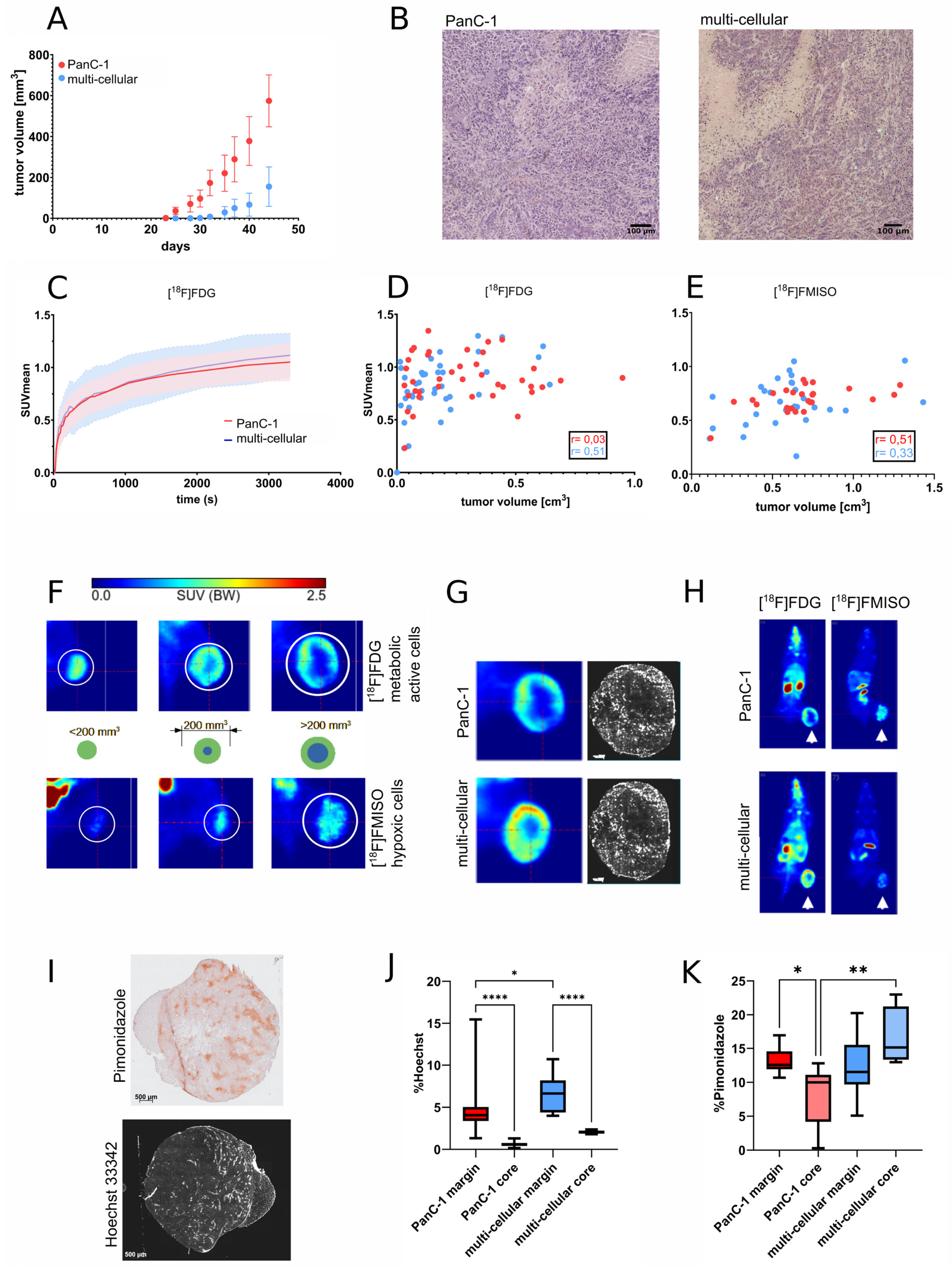 Cancers 16 03393 g003