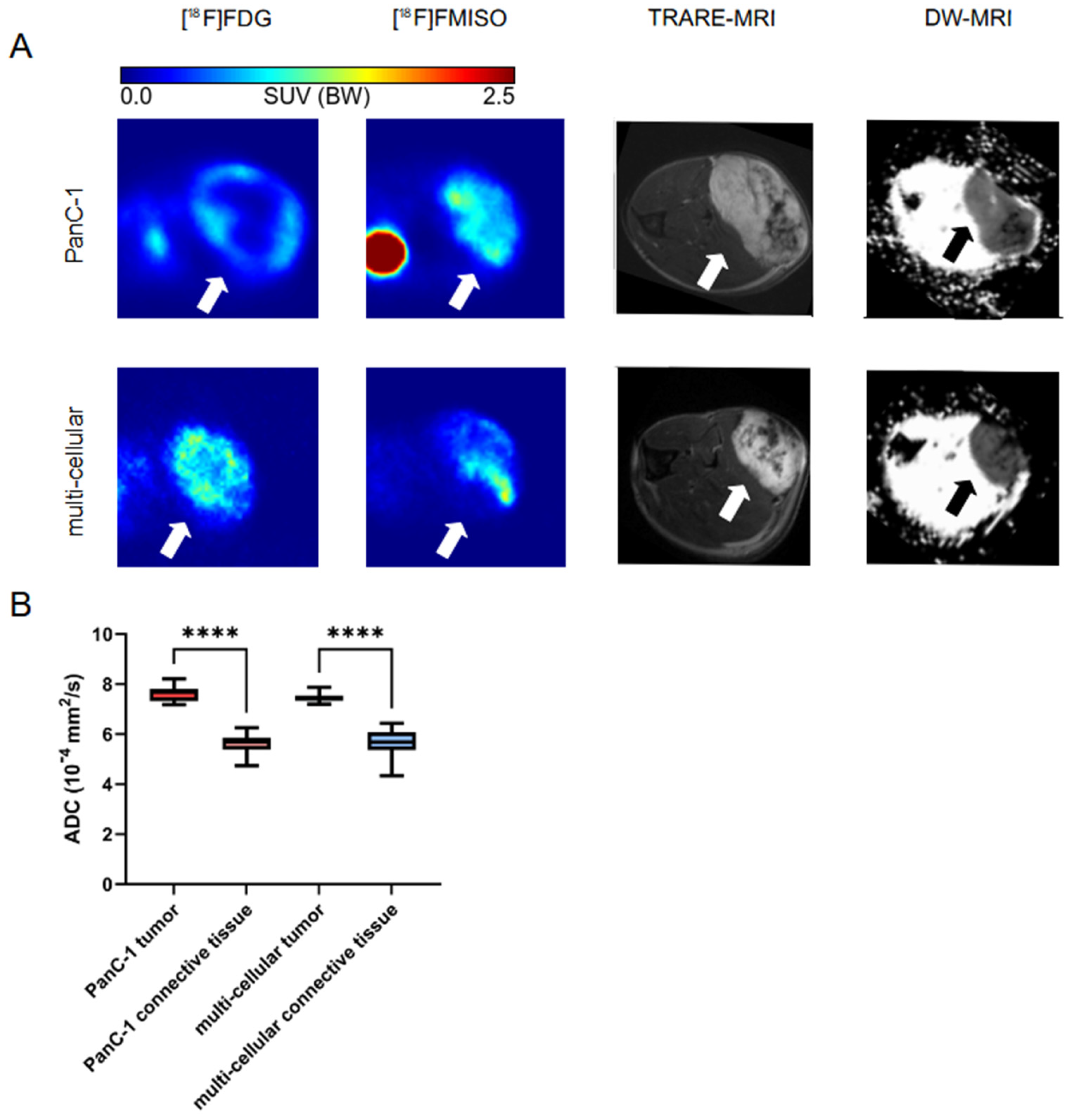 Cancers 16 03393 g004
