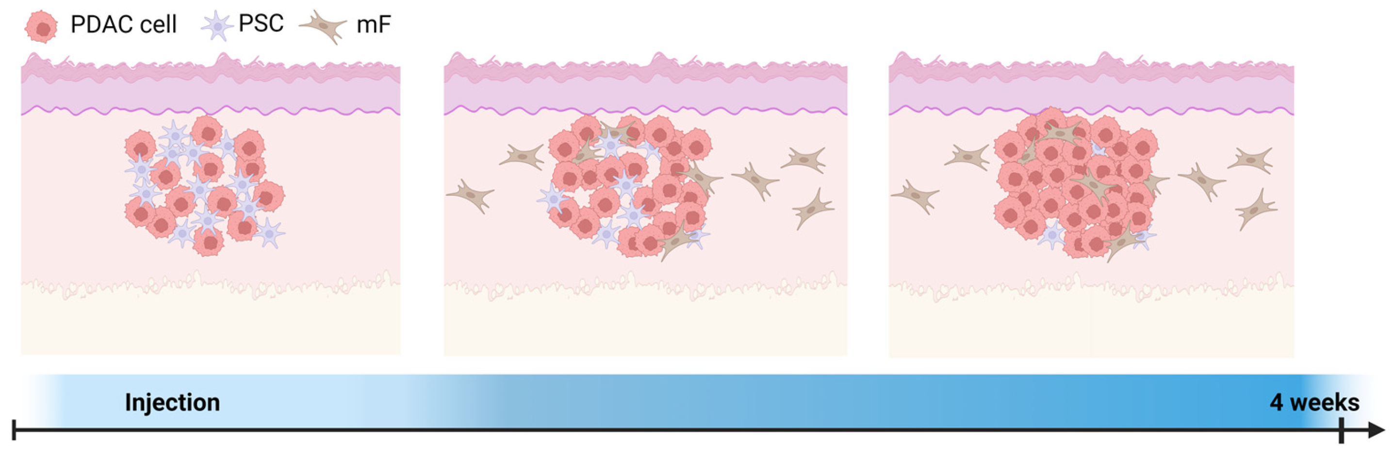 Cancers 16 03393 g007