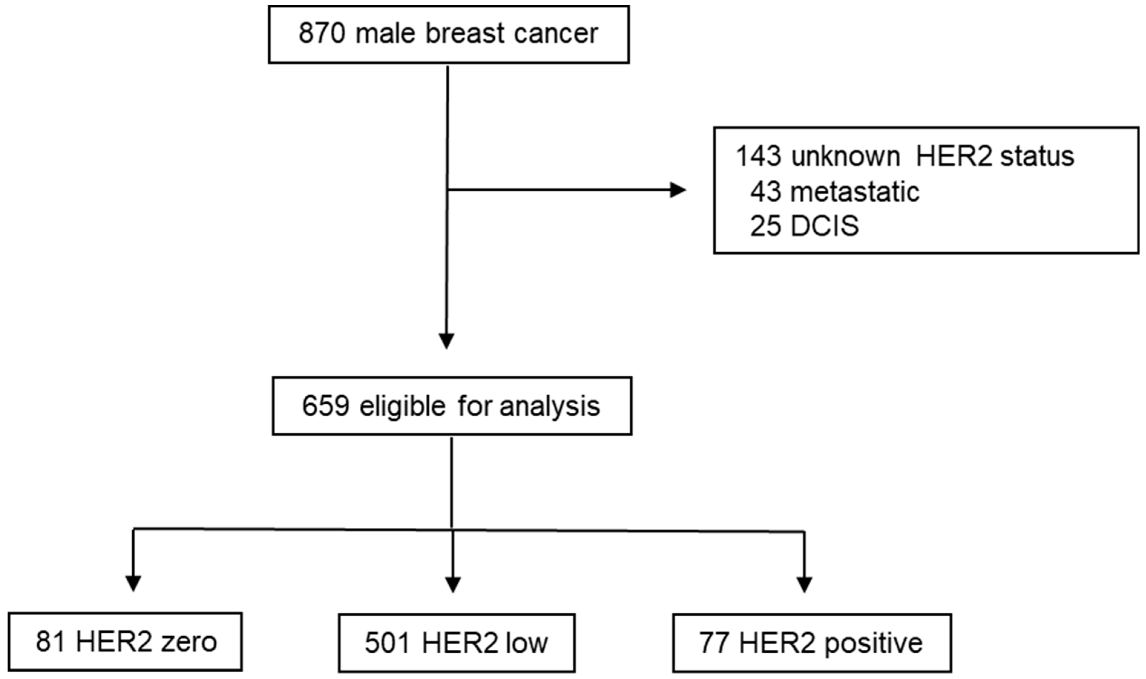 Cancers 16 03399 g001