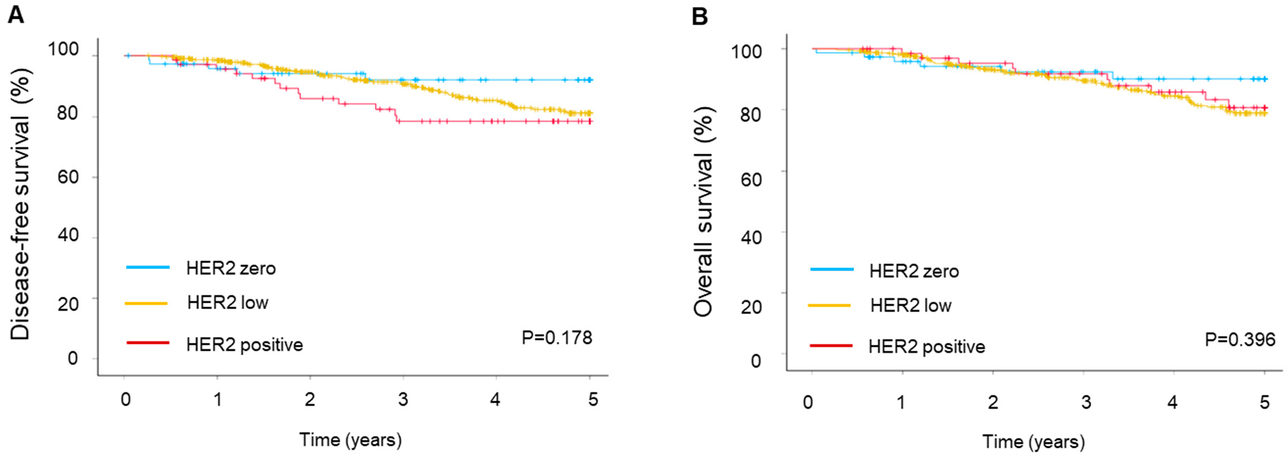 Cancers 16 03399 g002