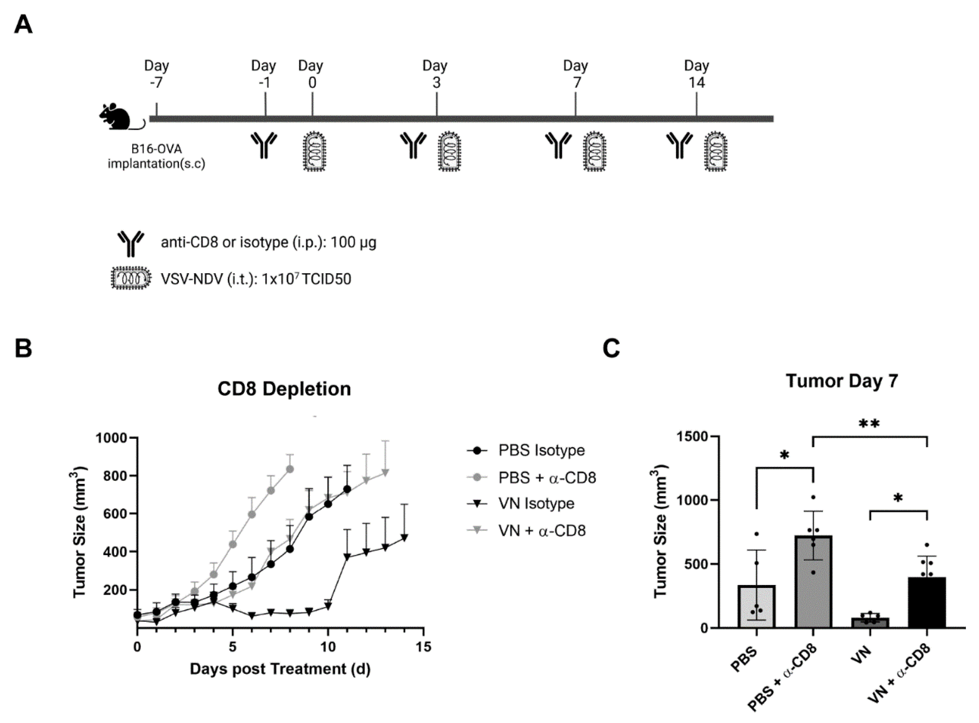 Cancers 16 03405 g006