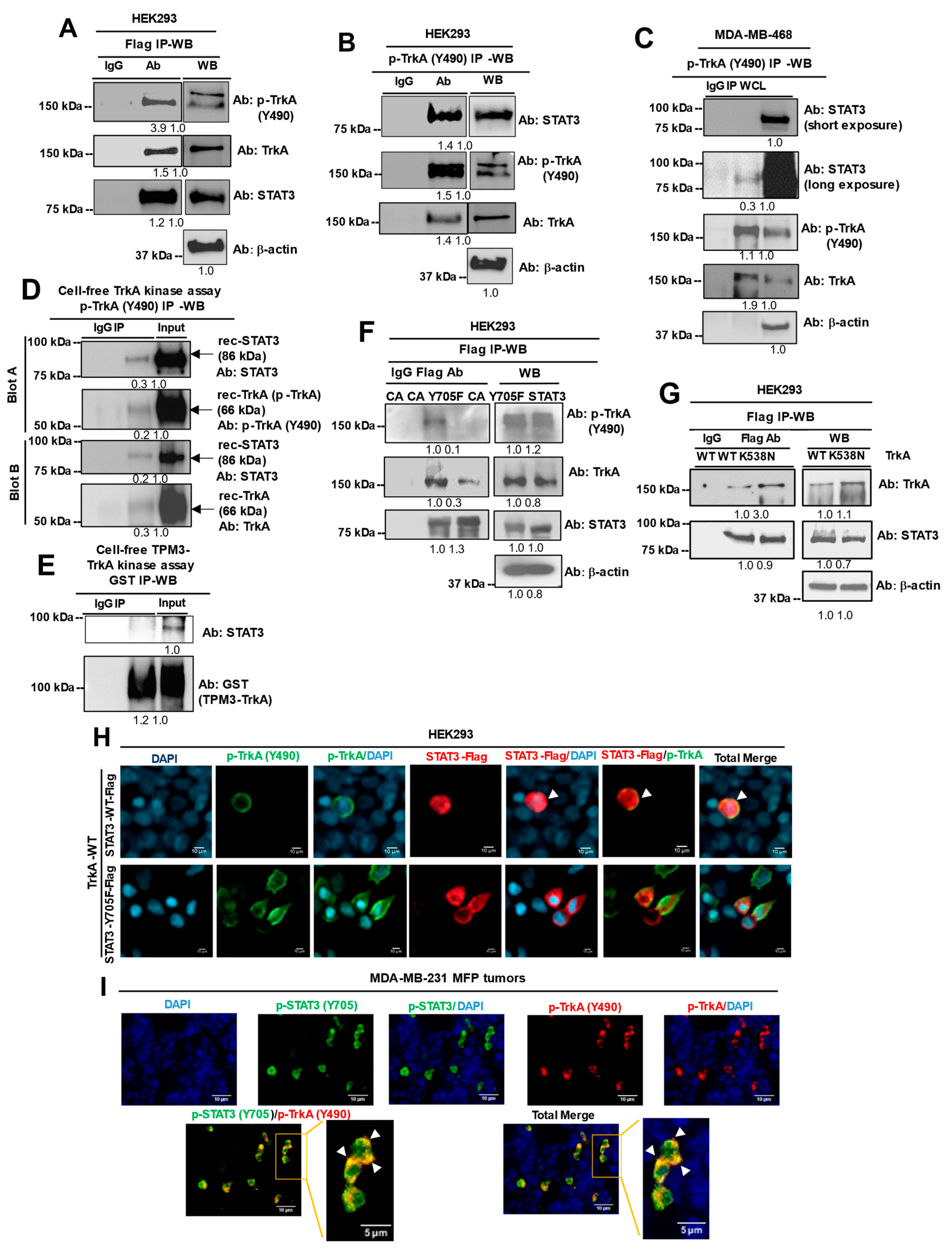 Cancers 16 03409 i002