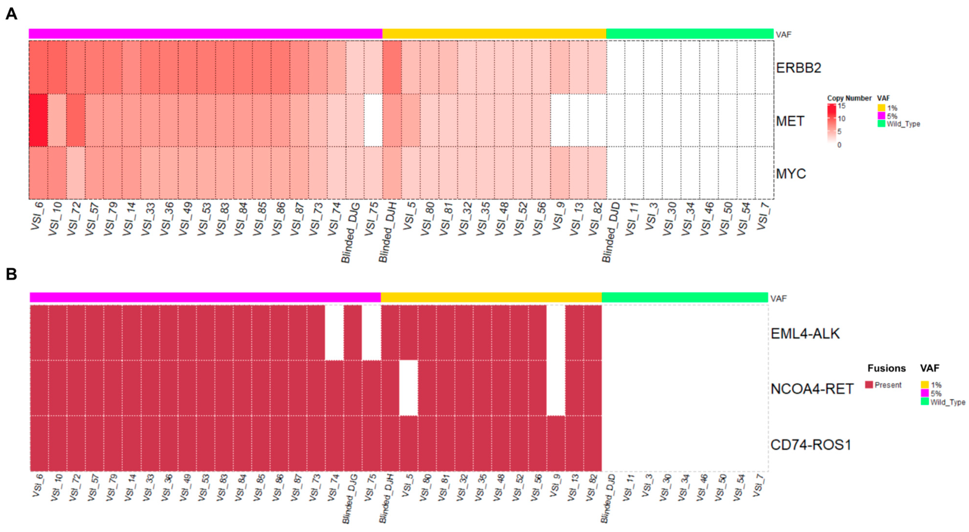 Cancers 16 03415 g002