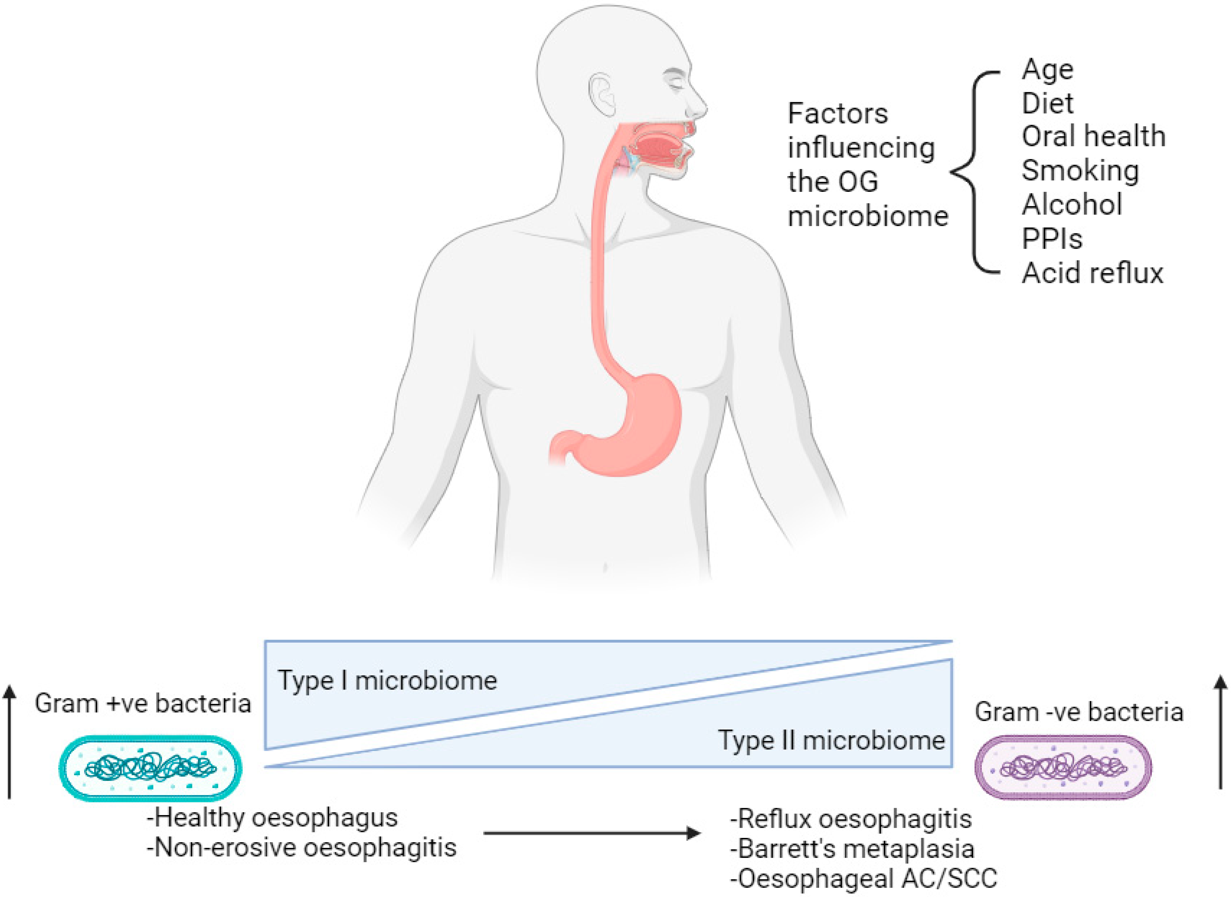 Cancers 16 03426 g001