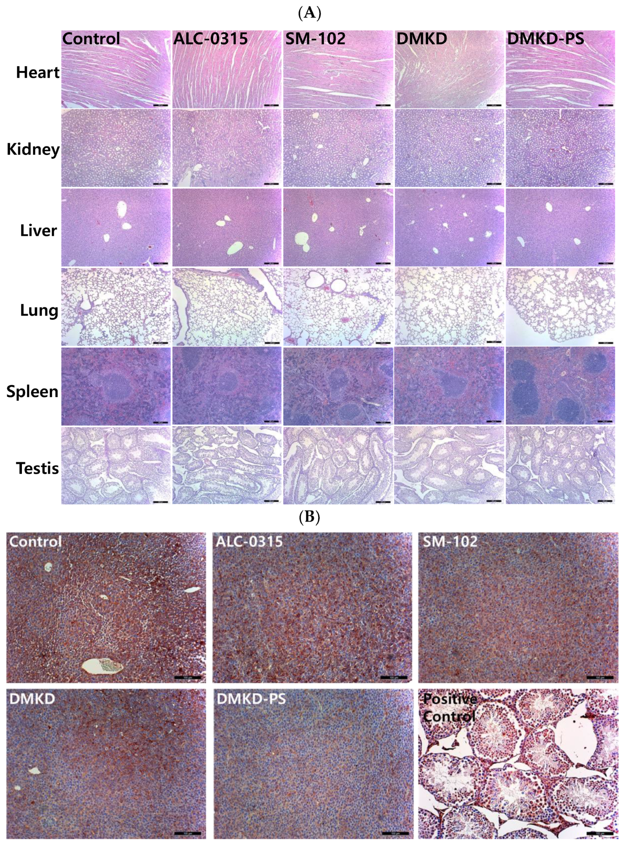 Cancers 16 03428 g004