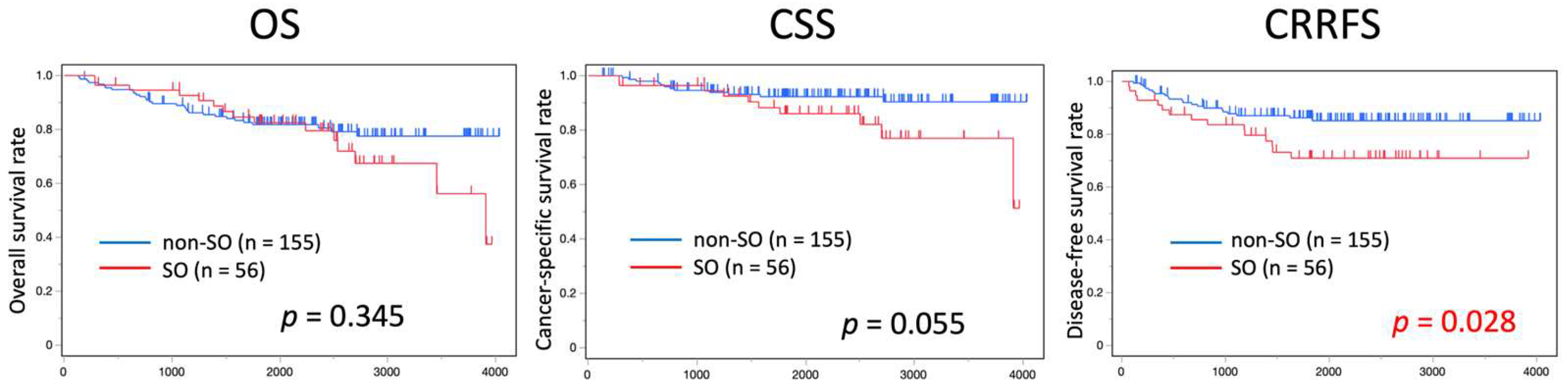 Cancers 16 03429 g003