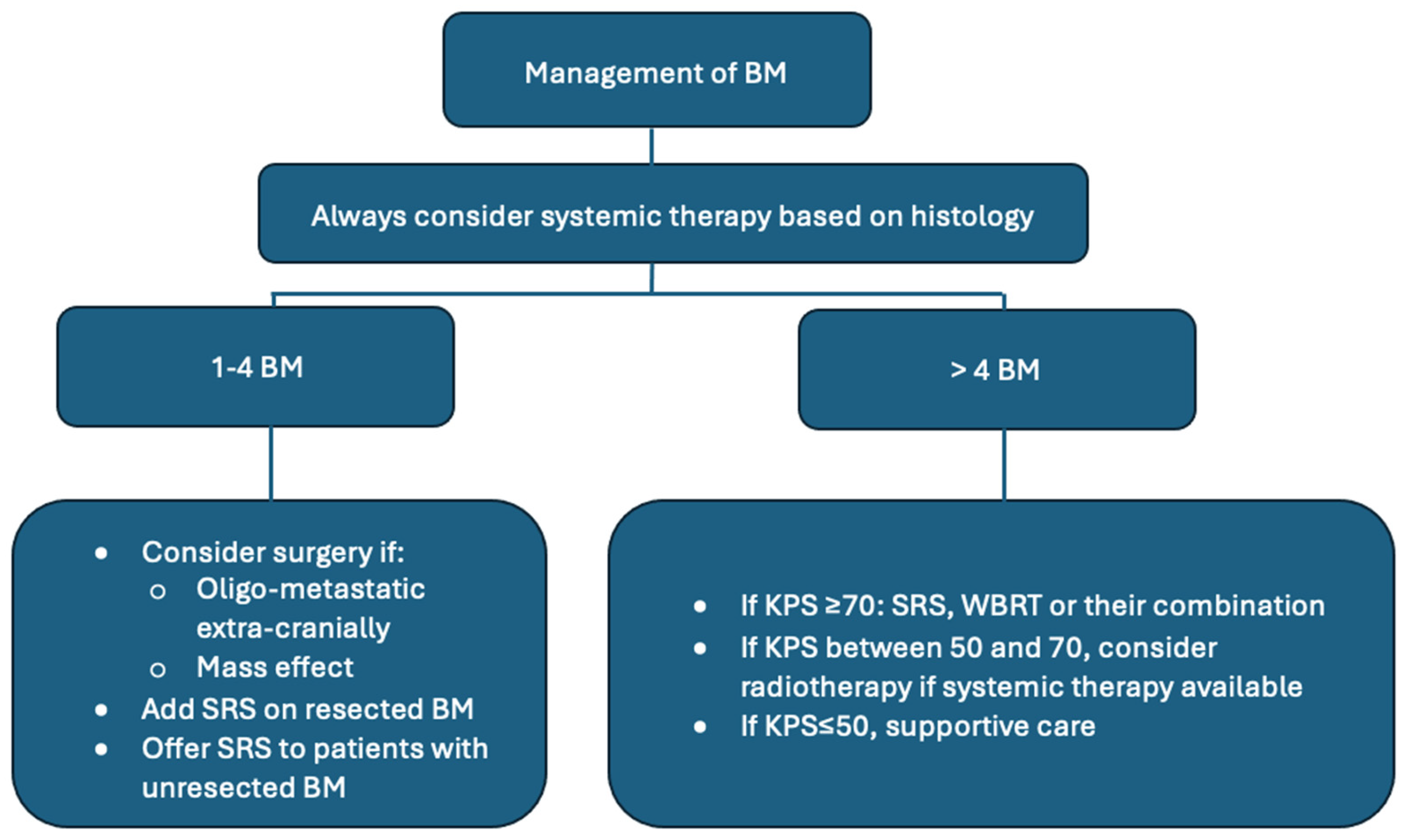 Cancers 16 03437 g001