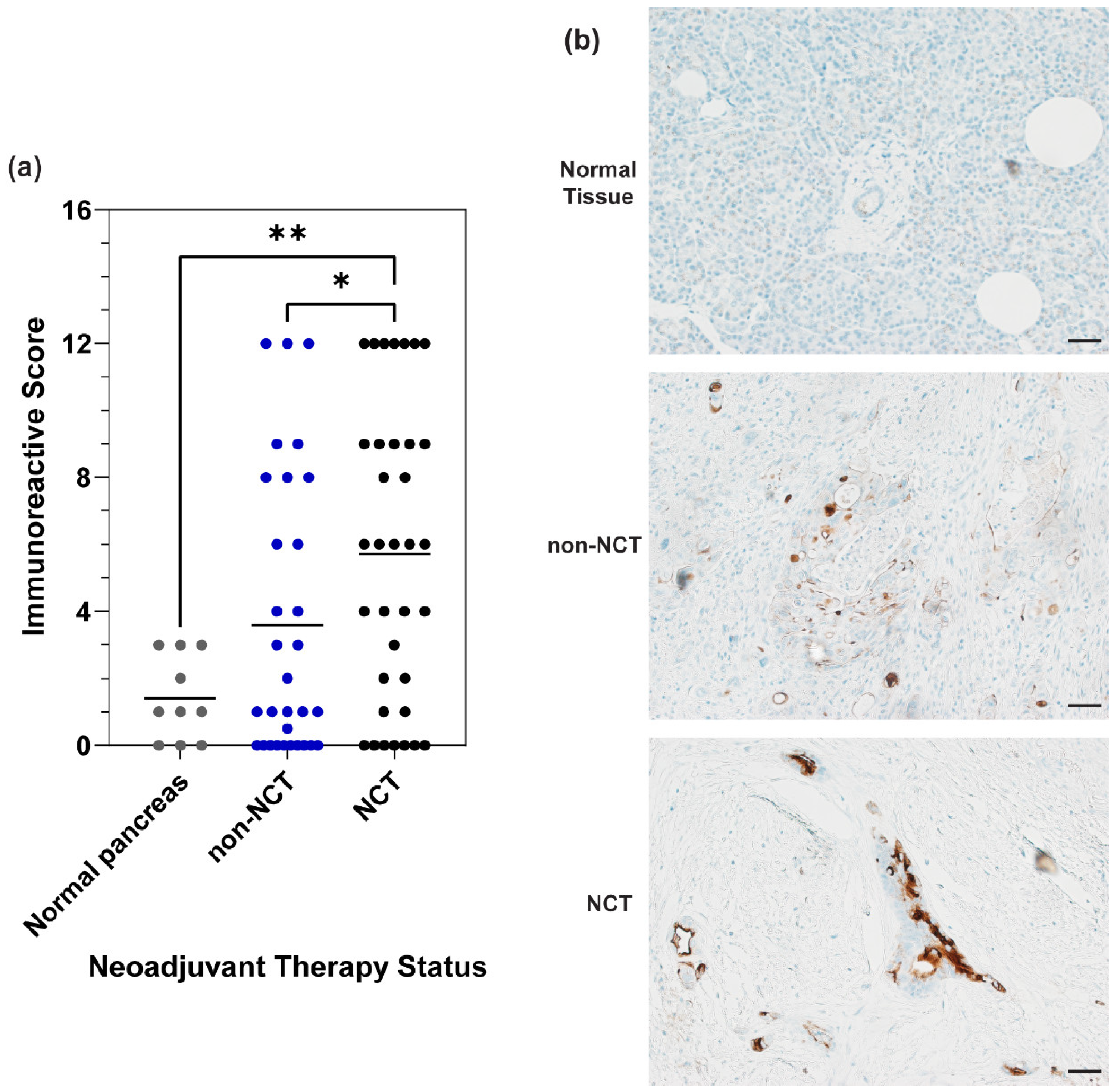 Cancers 16 03439 g001