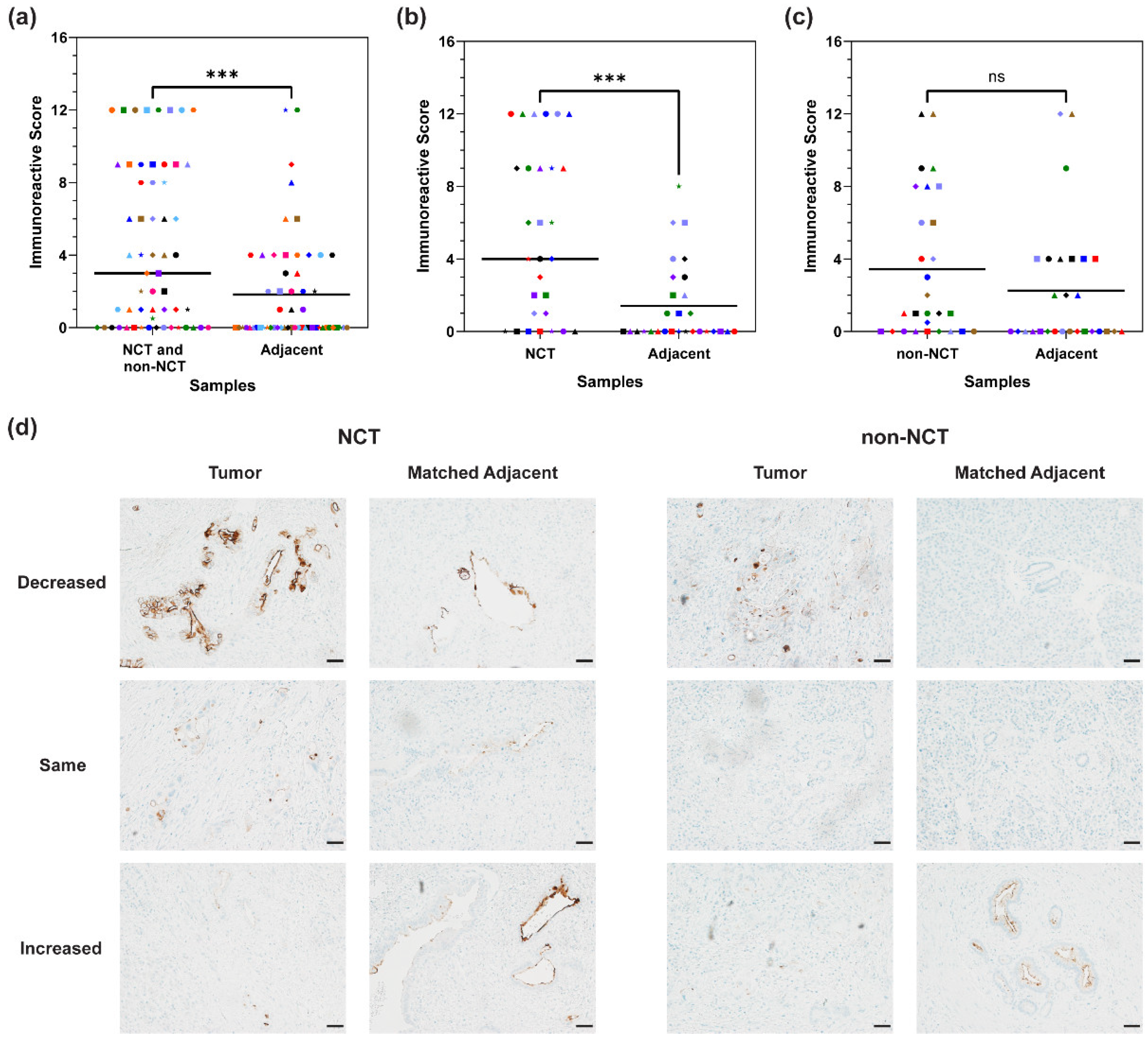 Cancers 16 03439 g003