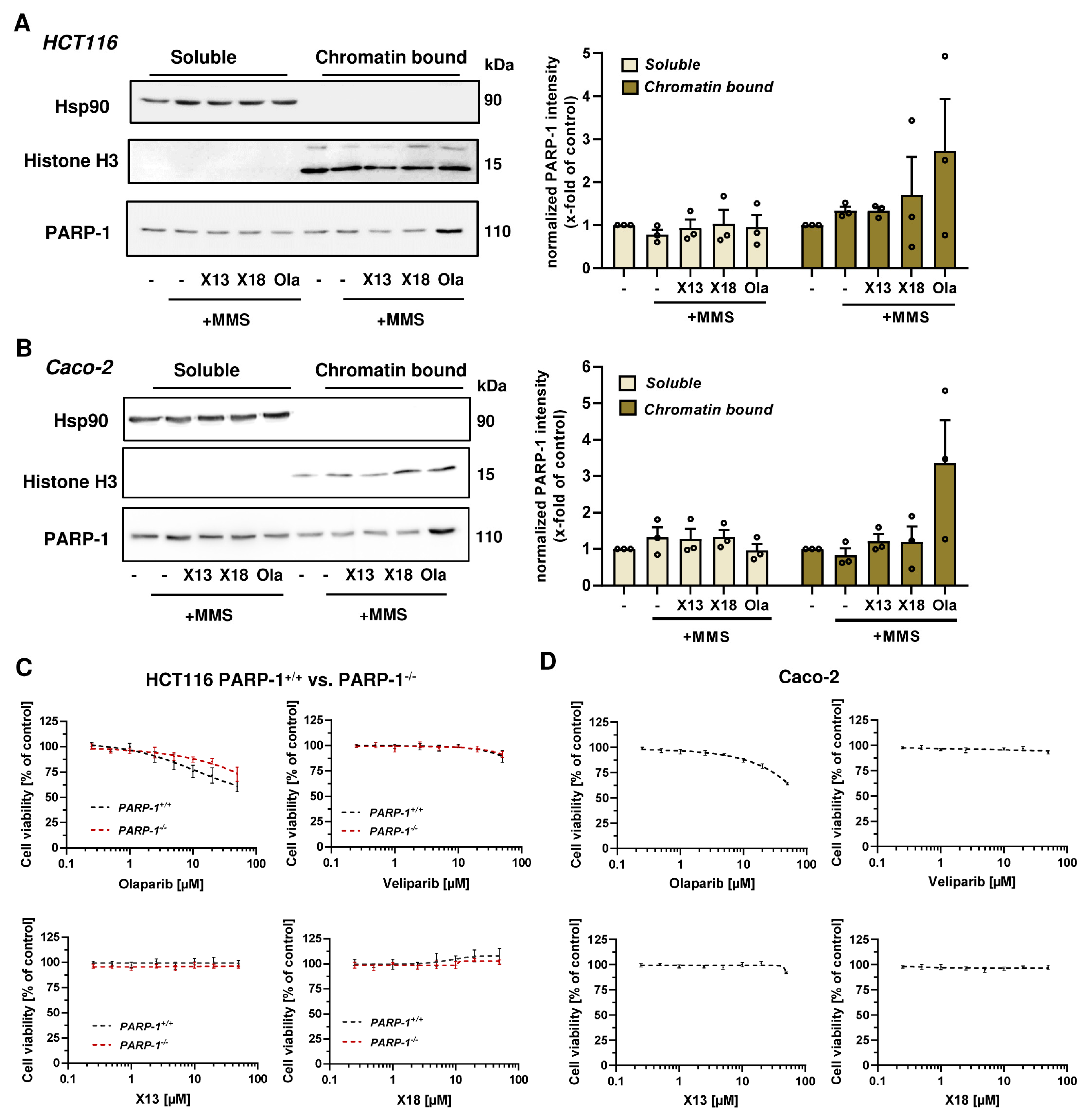 Cancers 16 03441 g003