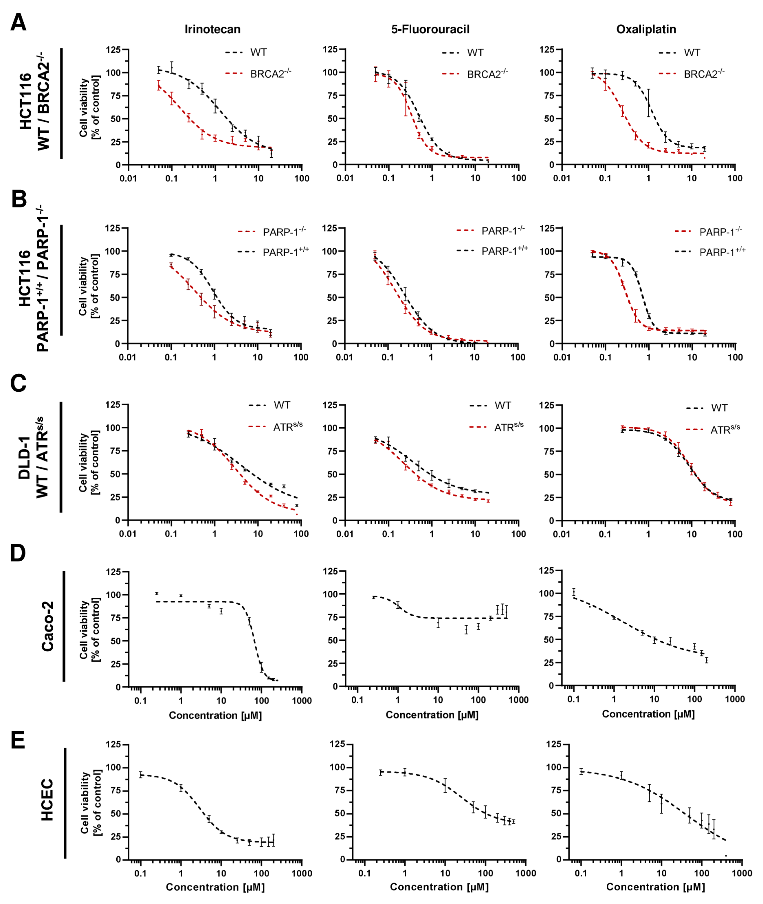 Cancers 16 03441 g0a5