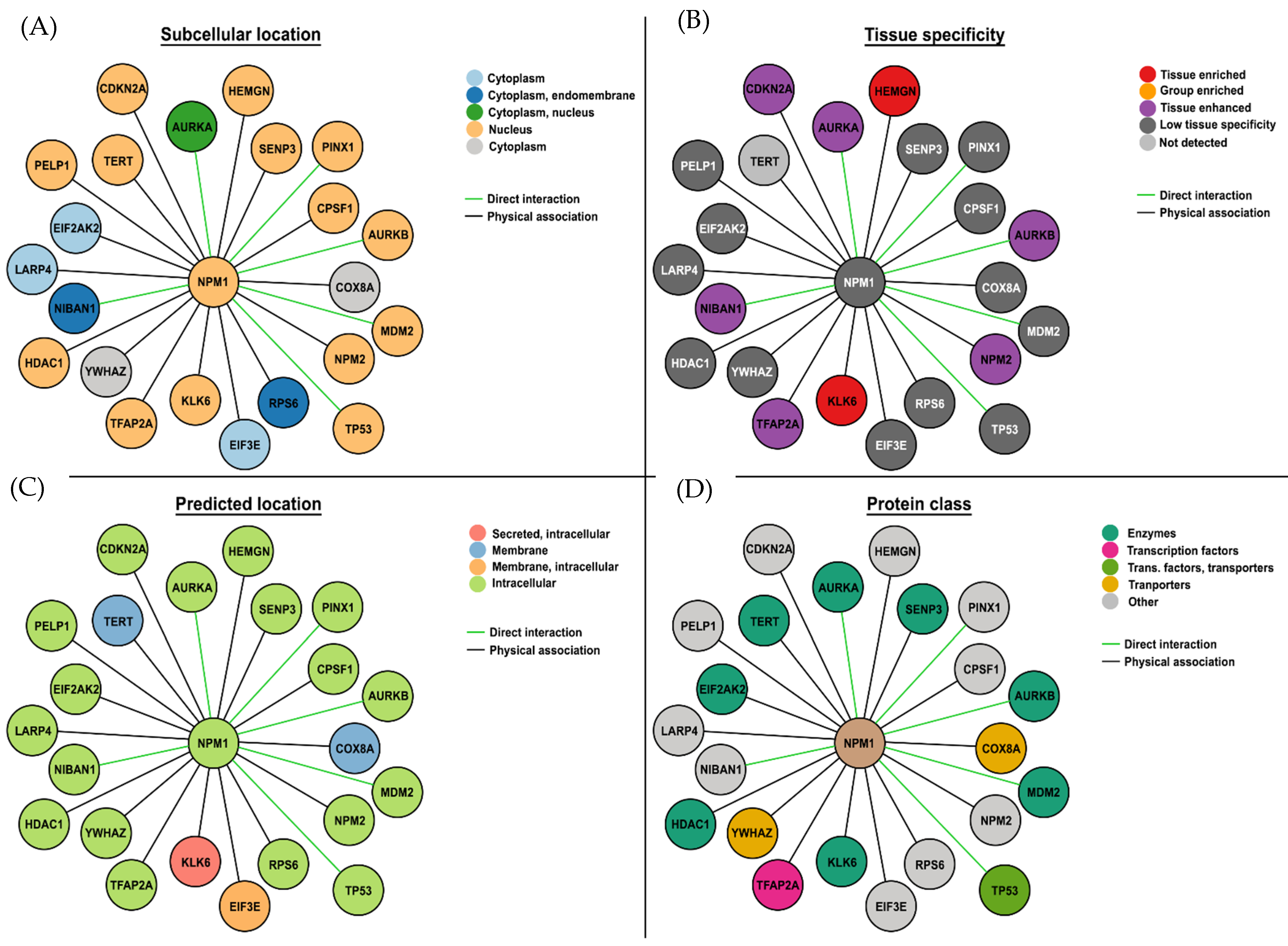 Cancers 16 03443 g001 Cancers 16 03443 g001