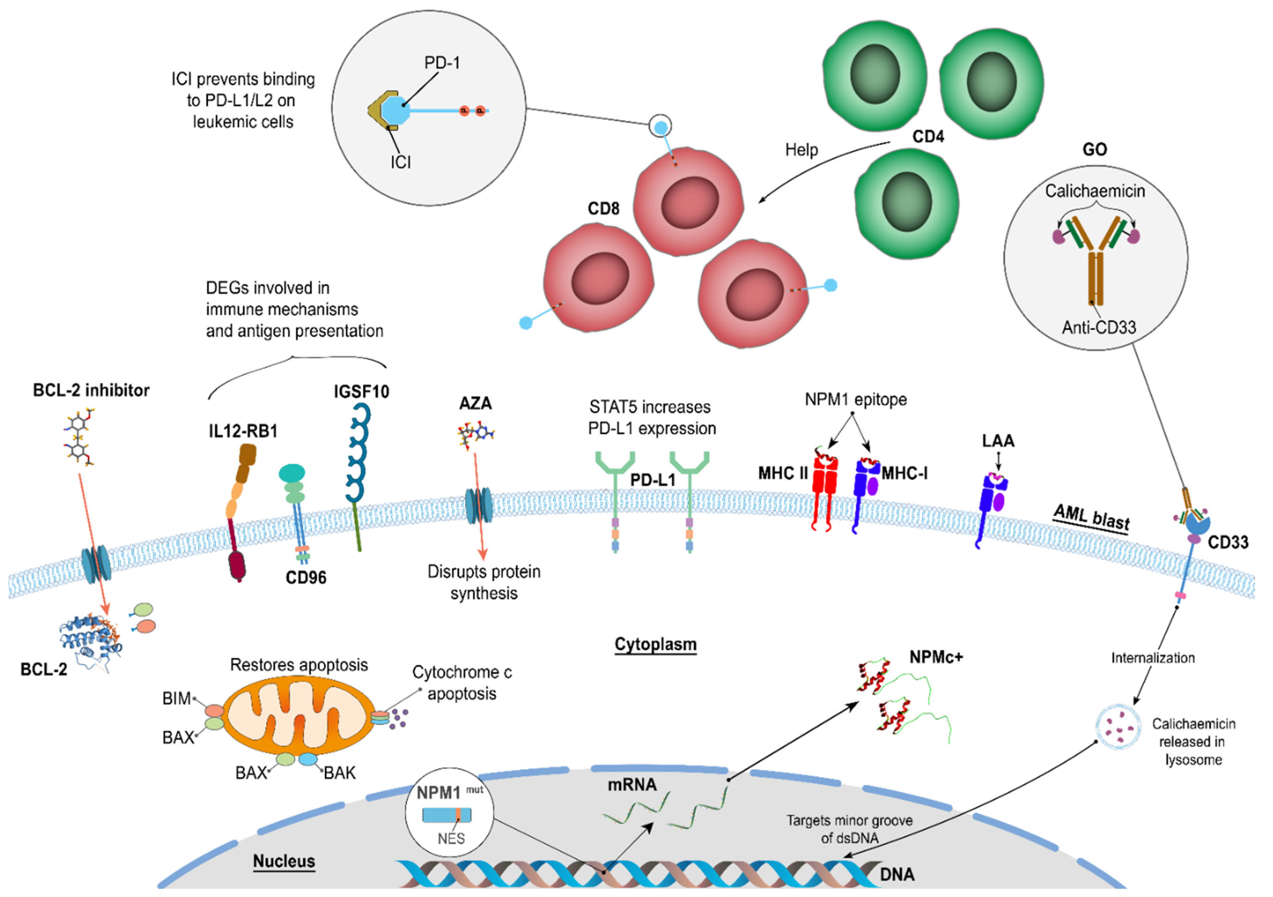 Cancers 16 03443 g002 Cancers 16 03443 g002