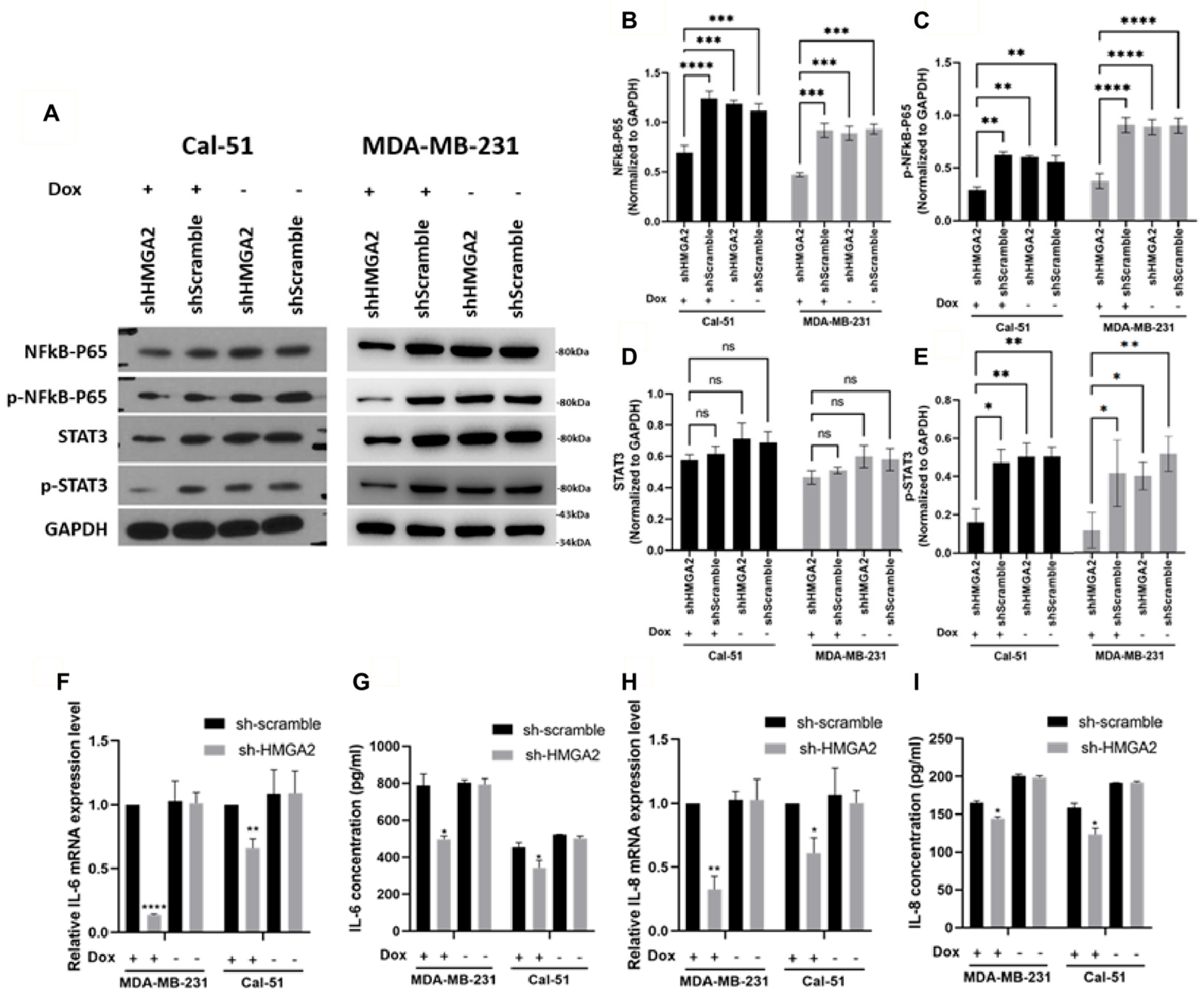 Cancers 16 03444 g007