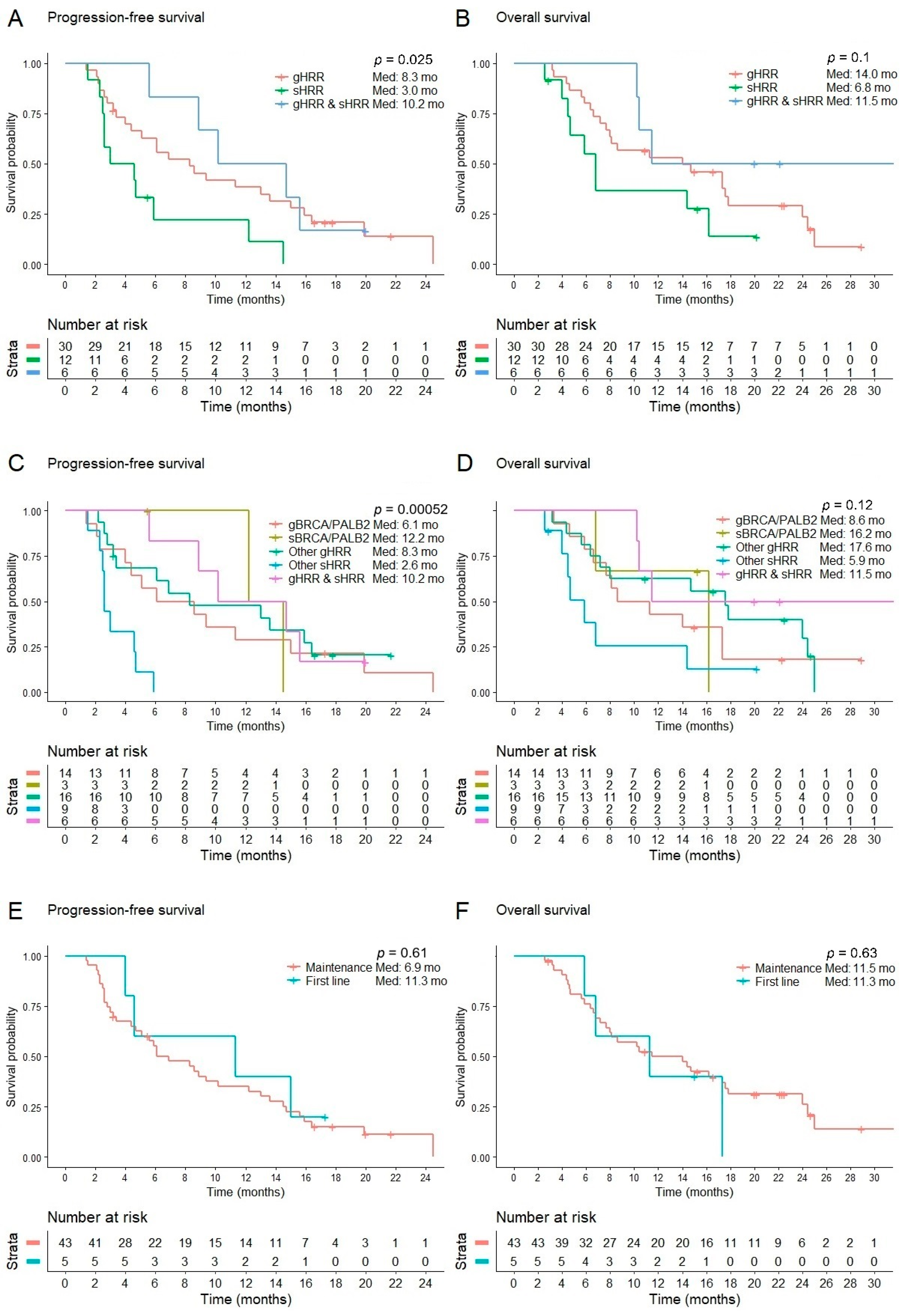 Cancers 16 03447 g001