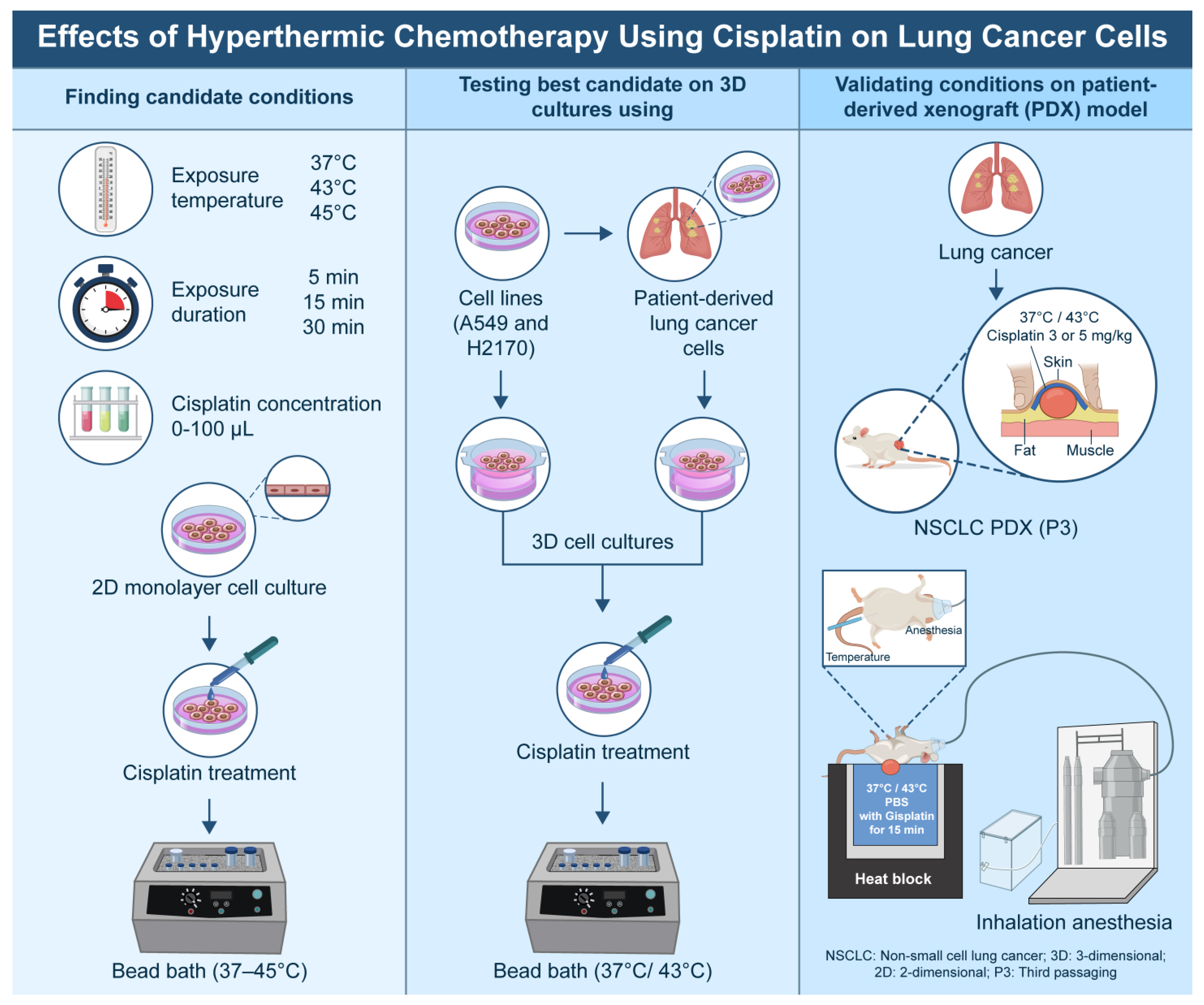 Cancers 16 03448 g001