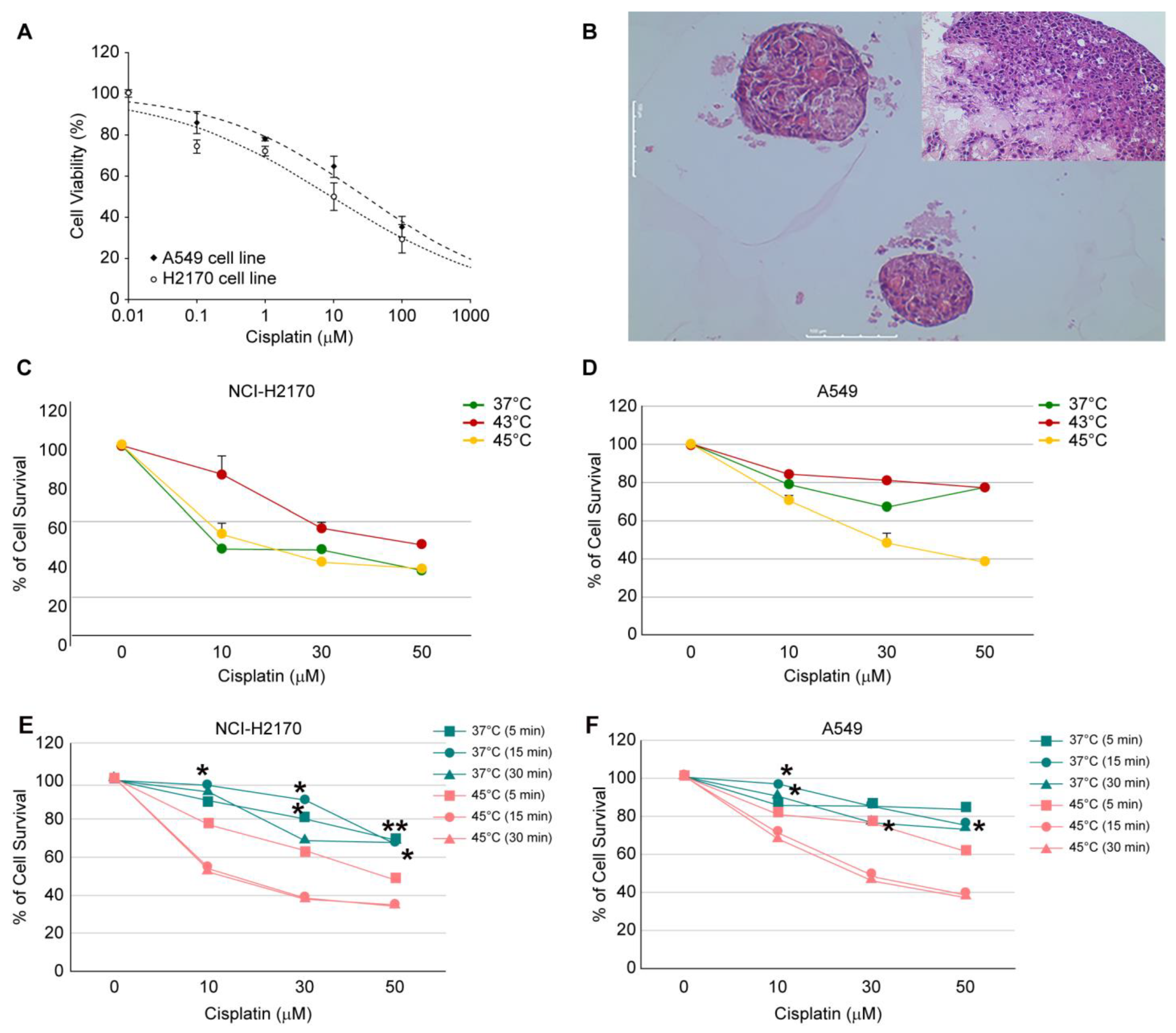 Cancers 16 03448 g002