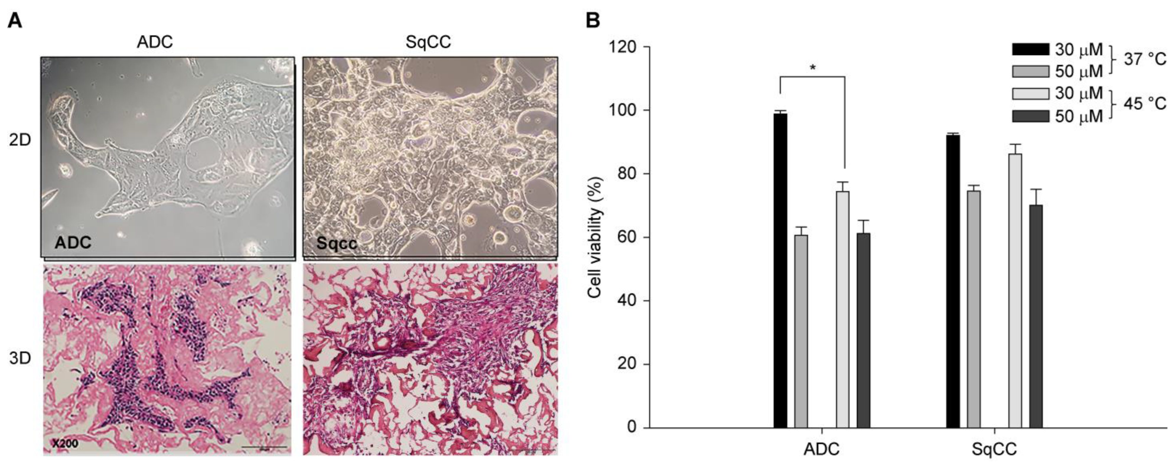 Cancers 16 03448 g003