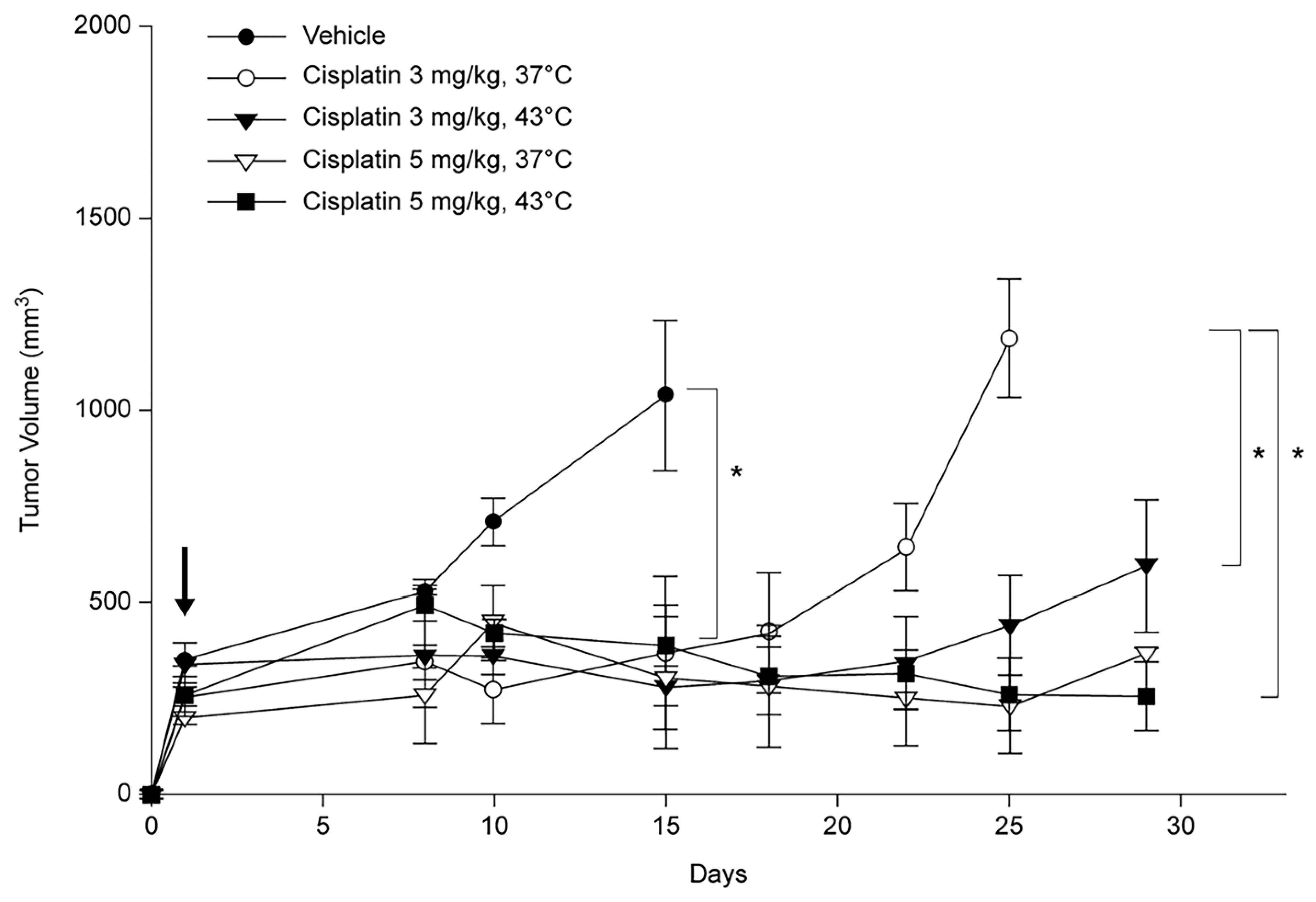 Cancers 16 03448 g004