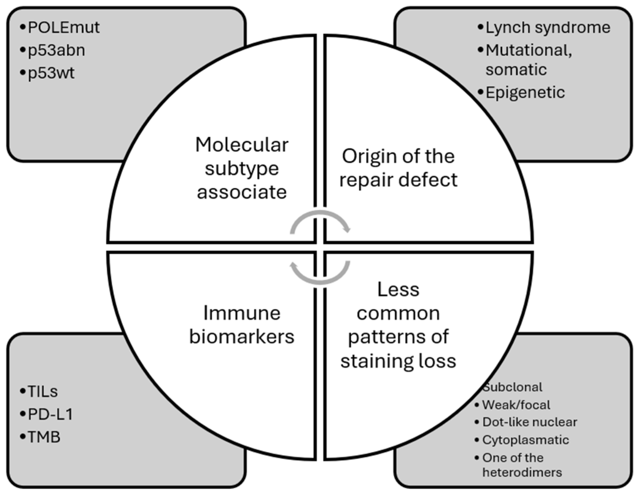 Cancers 16 03452 g004