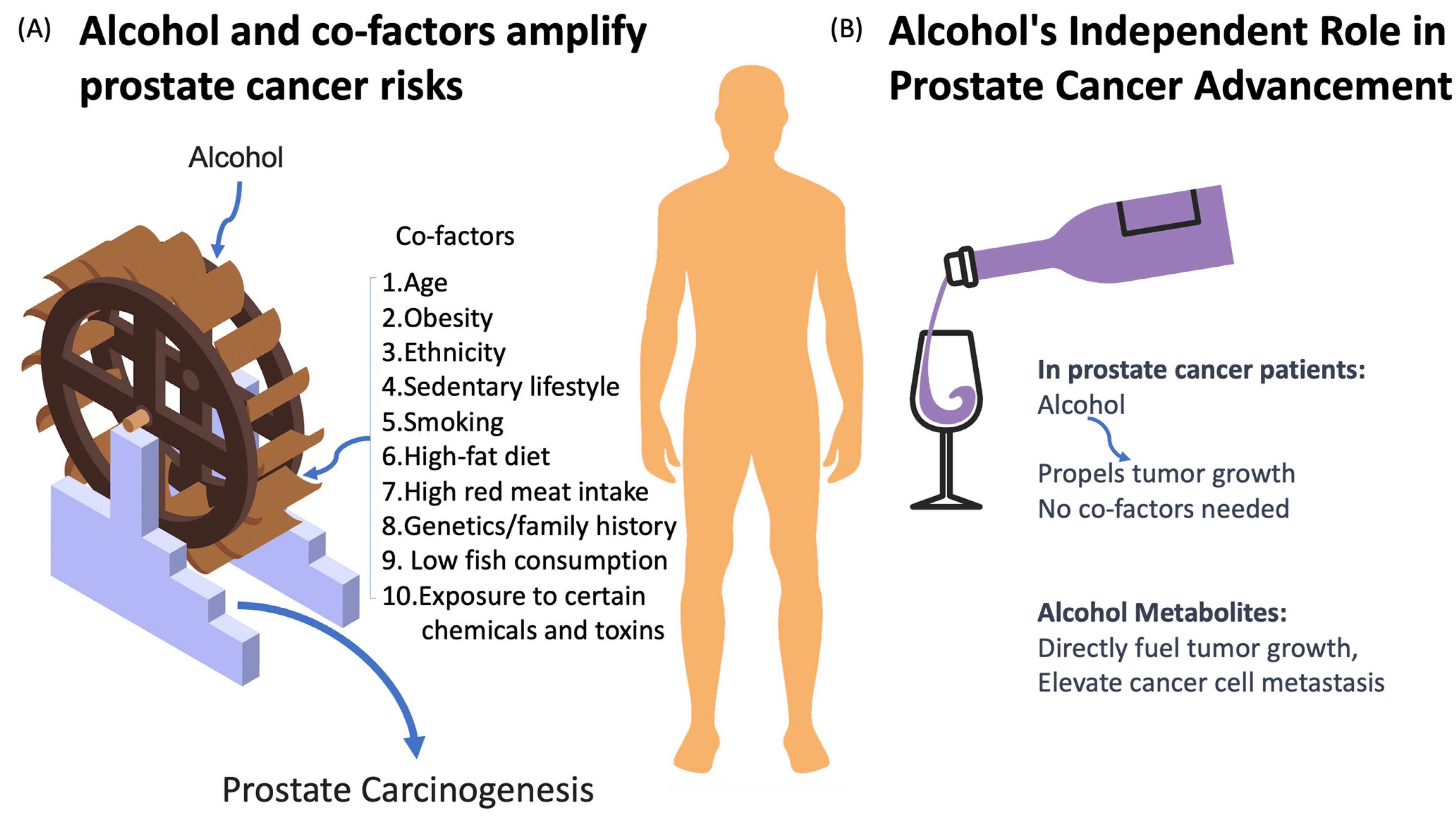 Cancers 16 03453 g001 Cancers 16 03453 g001