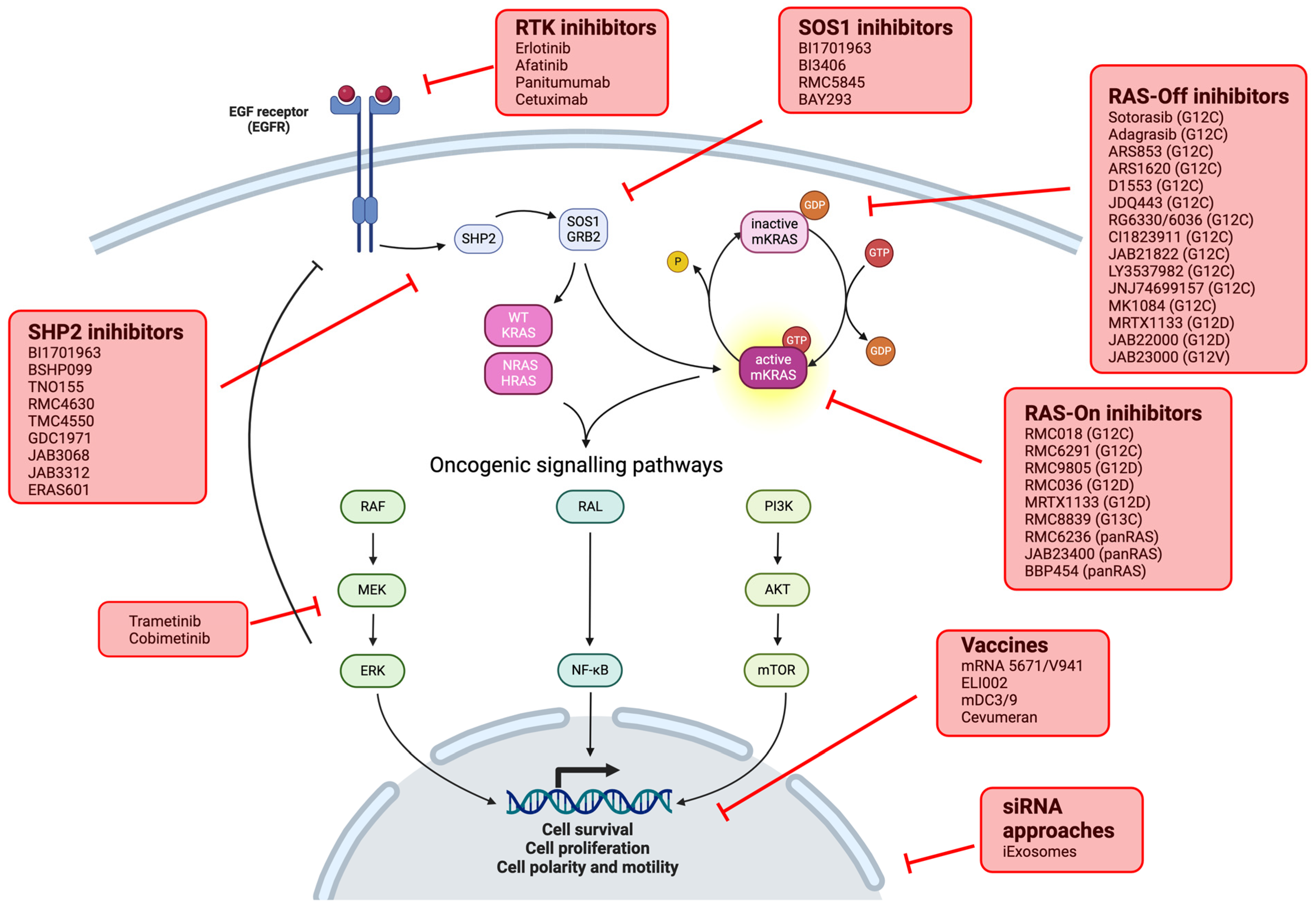 Cancers 16 03455 g004