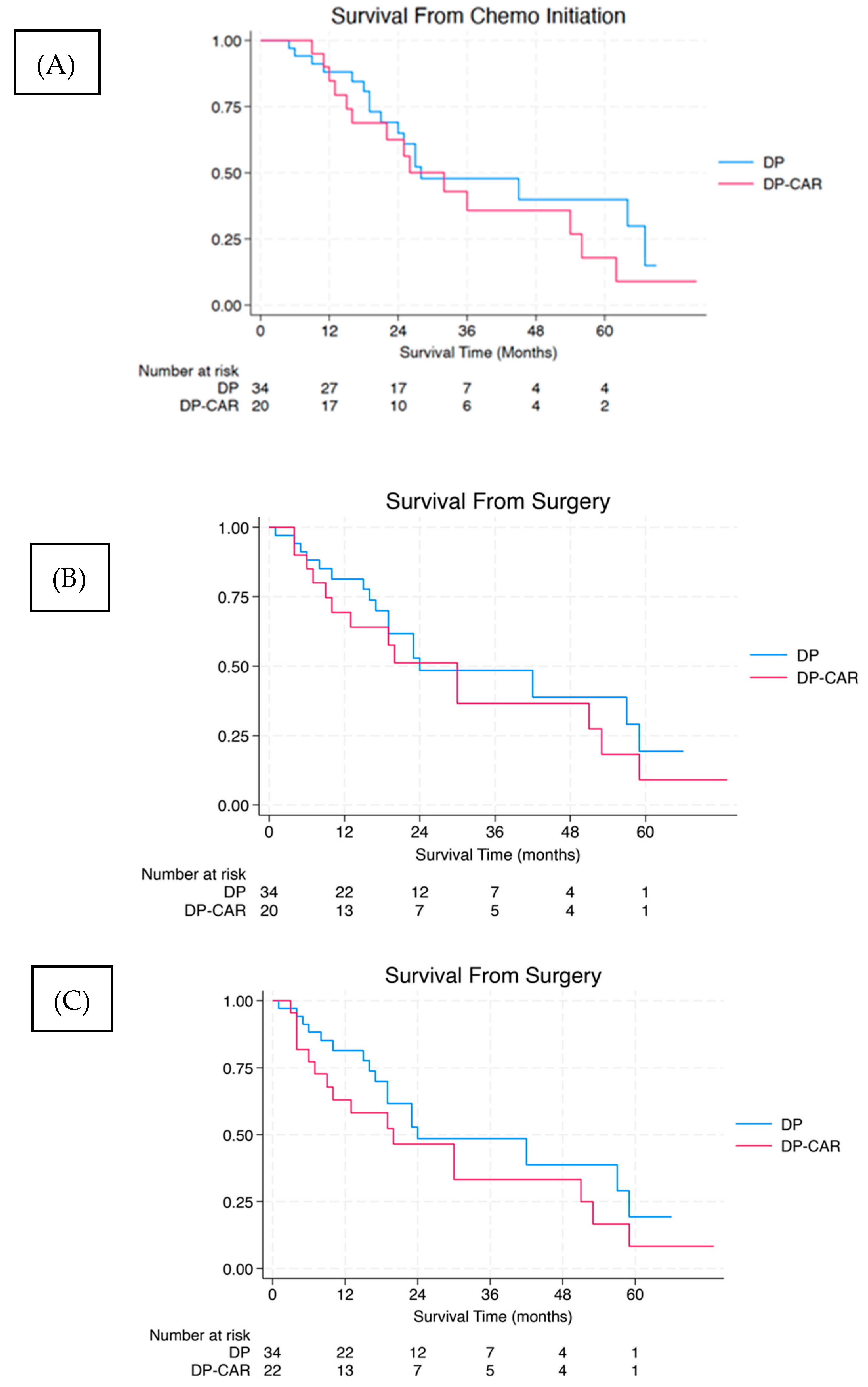 Cancers 16 03467 g001 Cancers 16 03467 g001