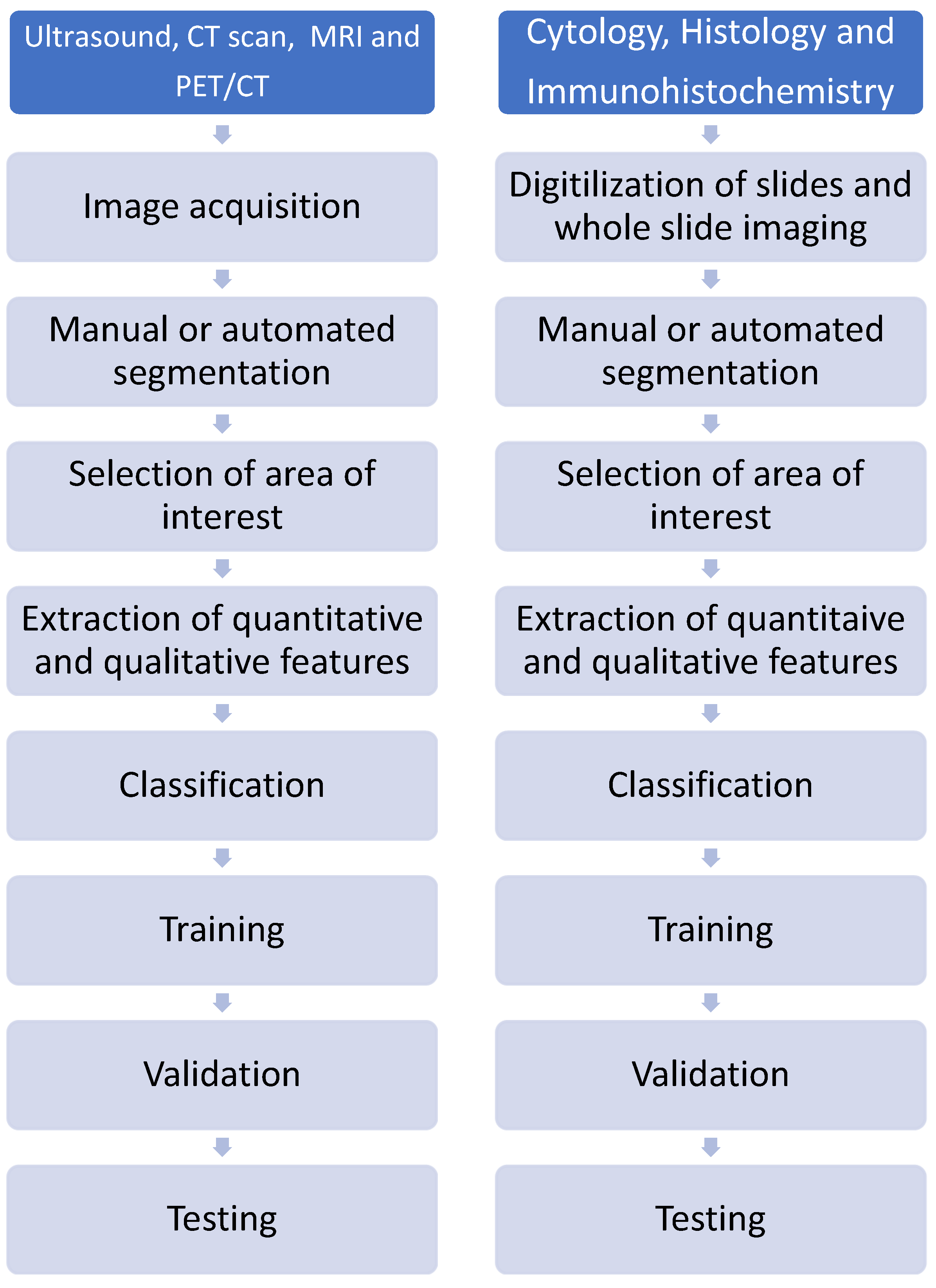 Cancers 16 03469 g002 Cancers 16 03469 g002