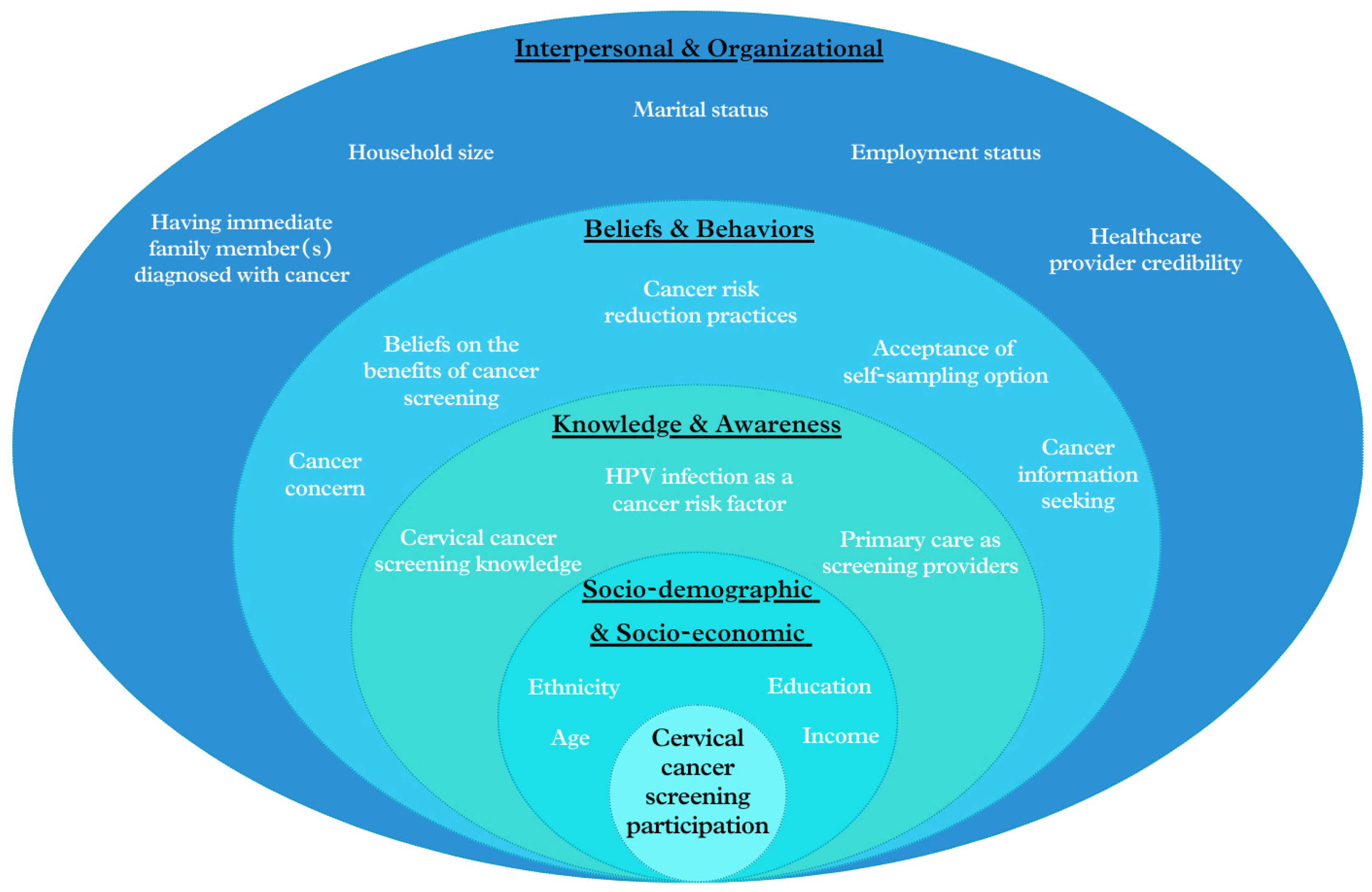 Cancers 16 03475 g001
