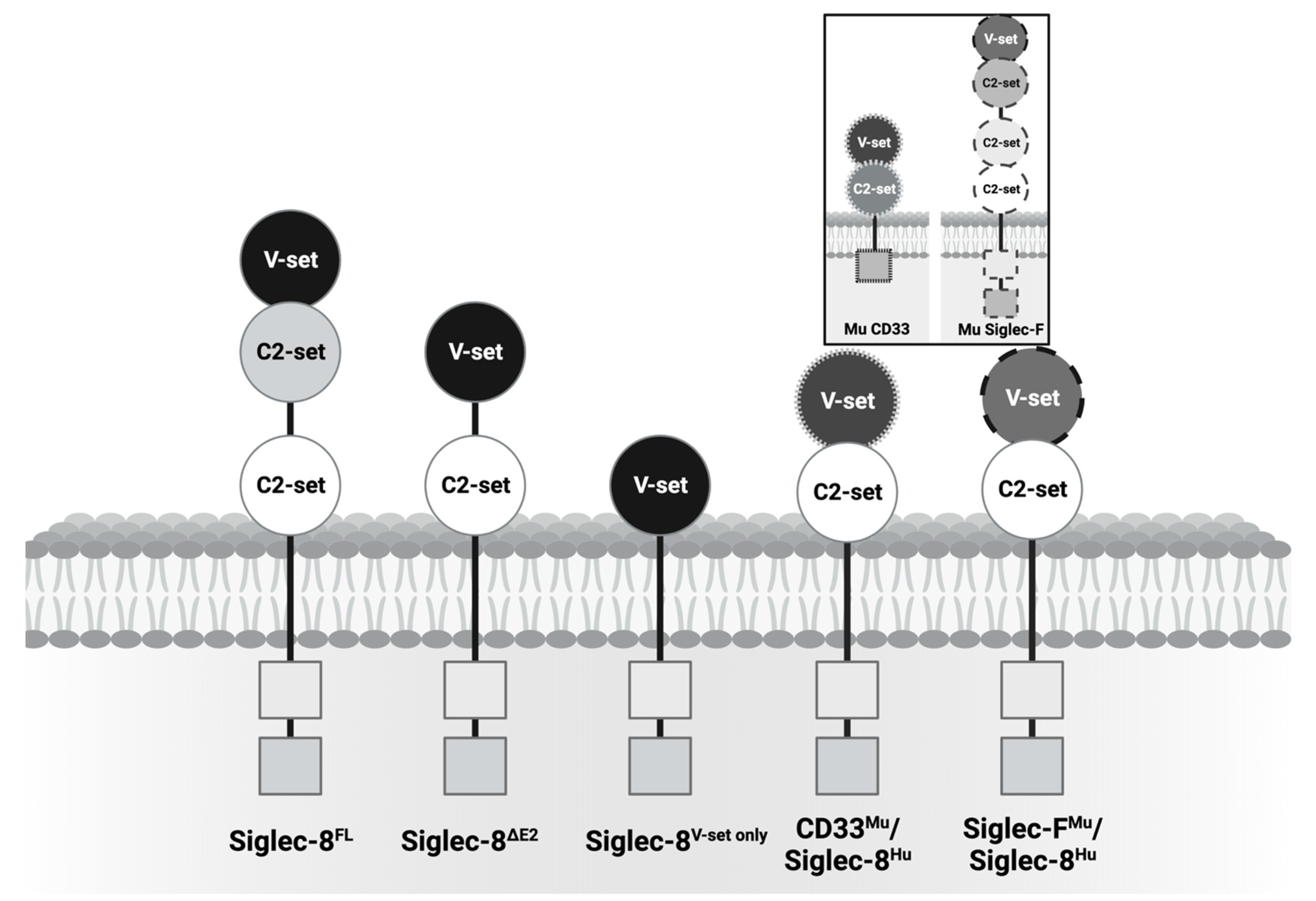 Cancers 16 03476 g001