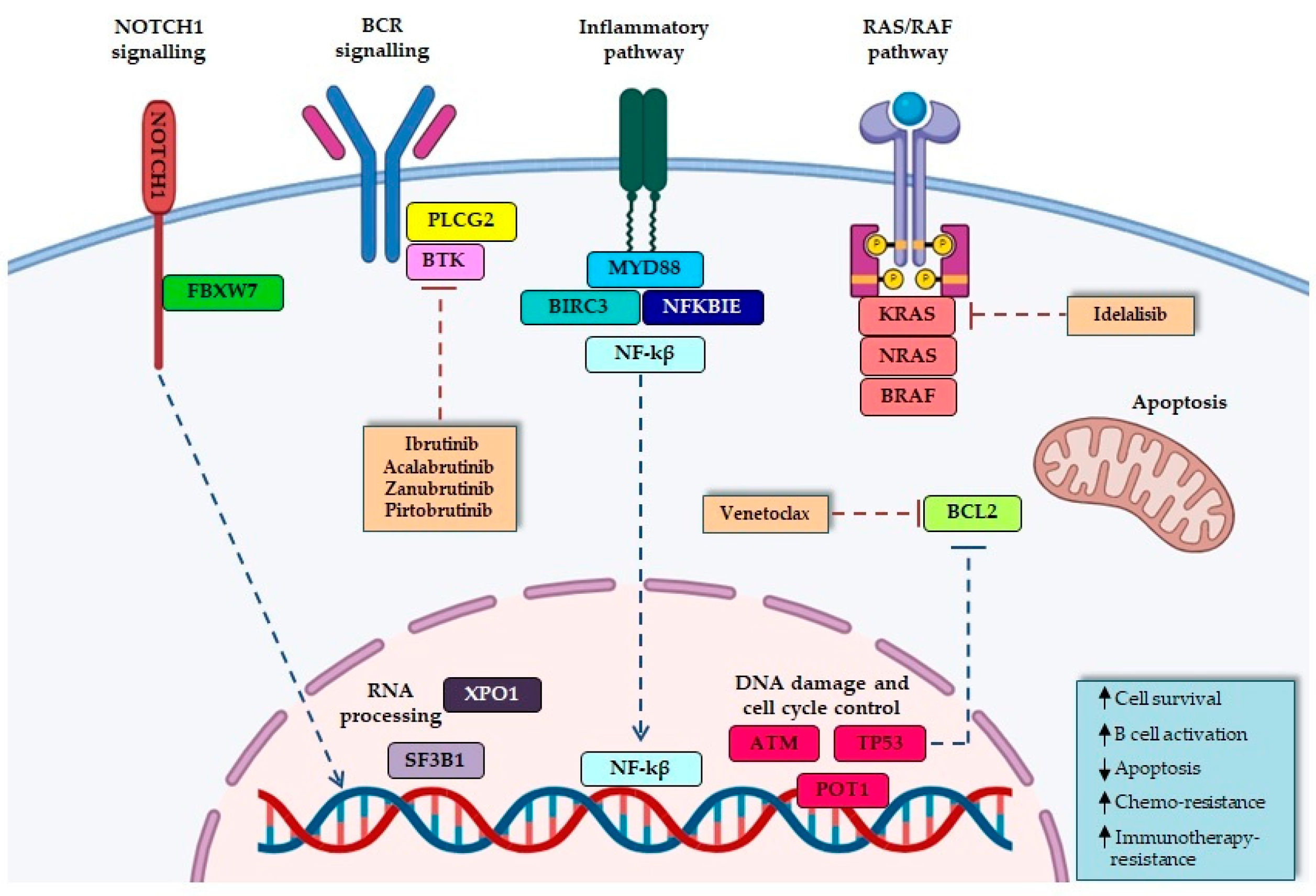 Cancers 16 03483 g001