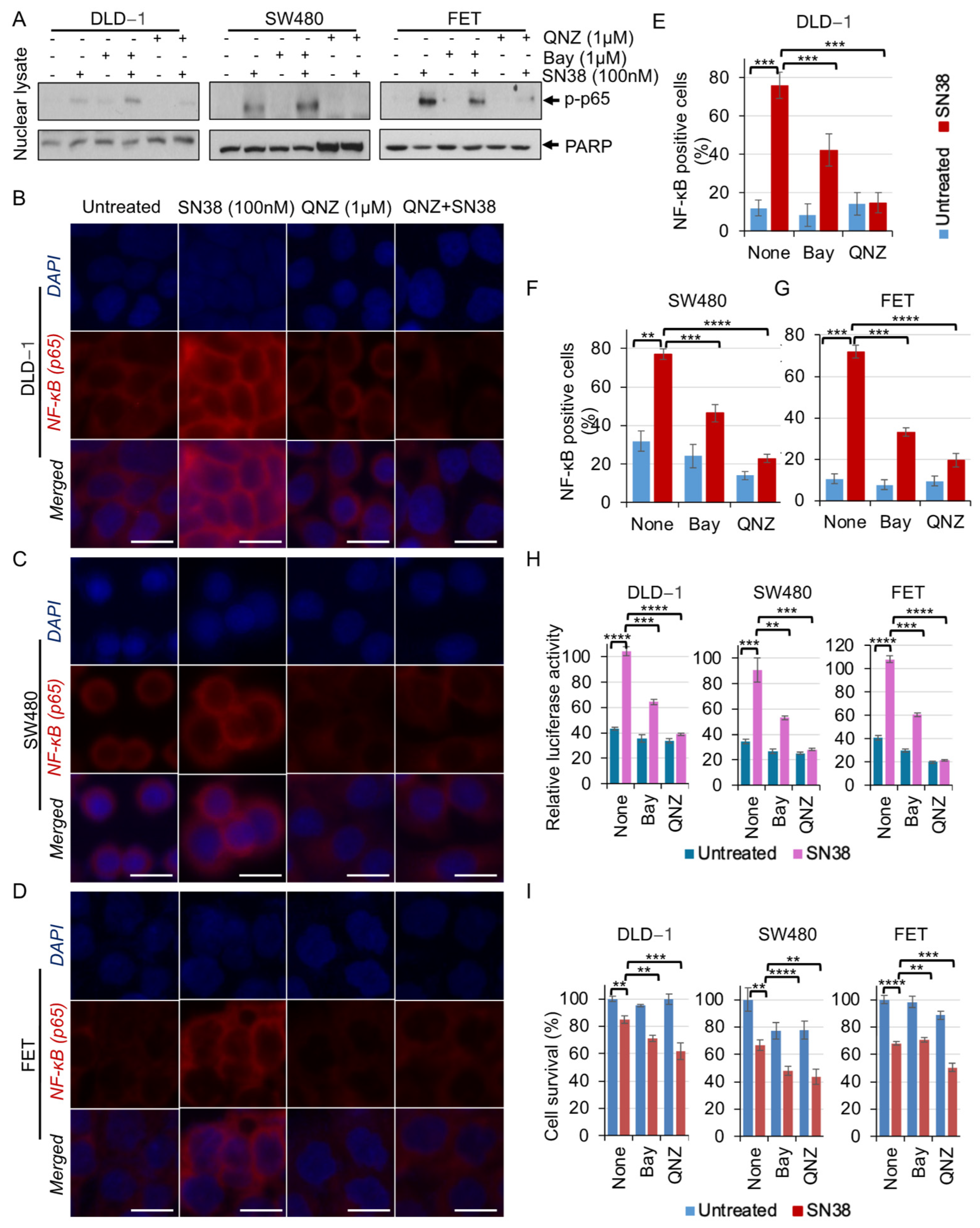 Cancers 16 03491 g003 Cancers 16 03491 g003