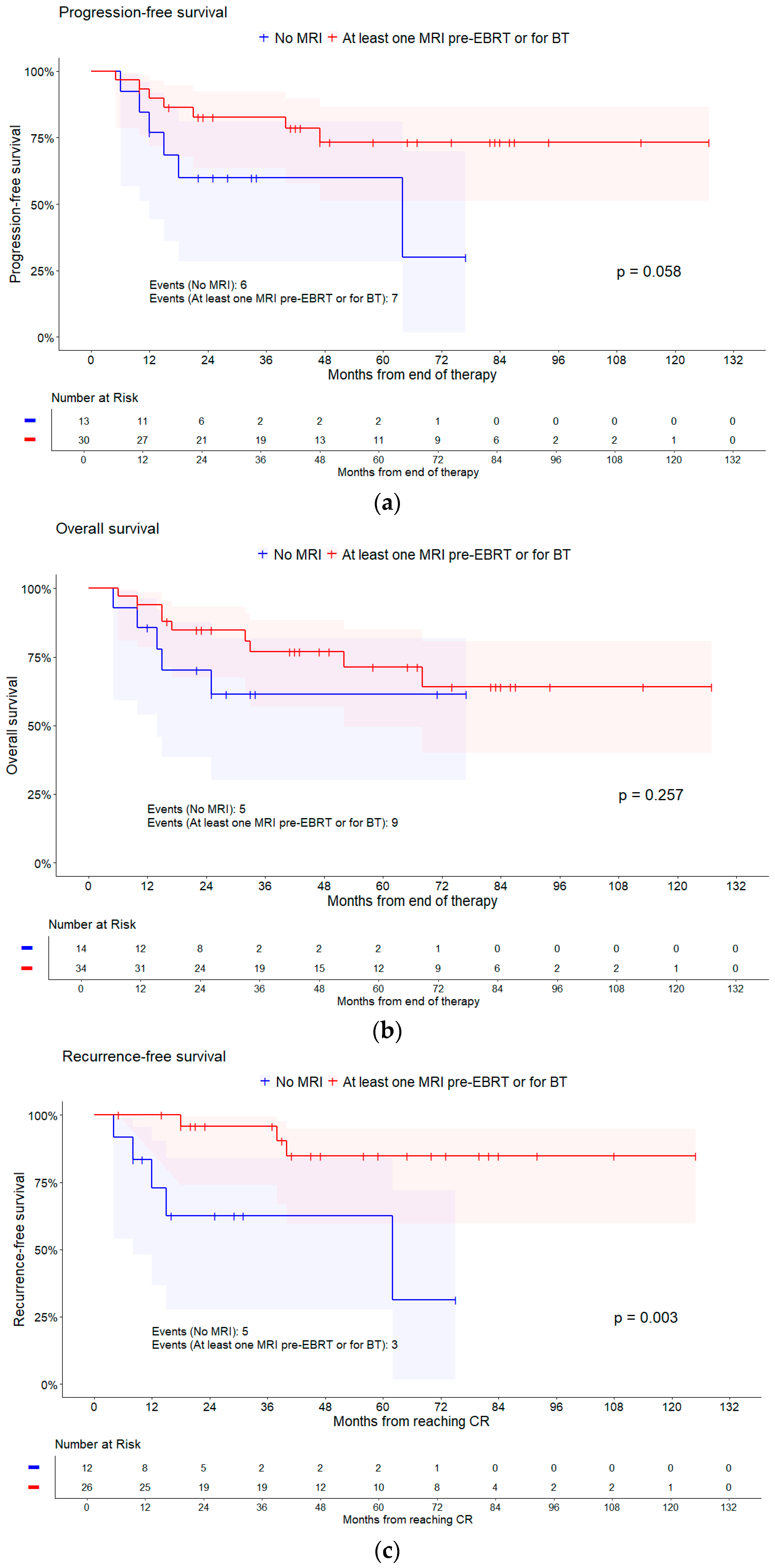 Cancers 16 03495 g004a Cancers 16 03495 g004a