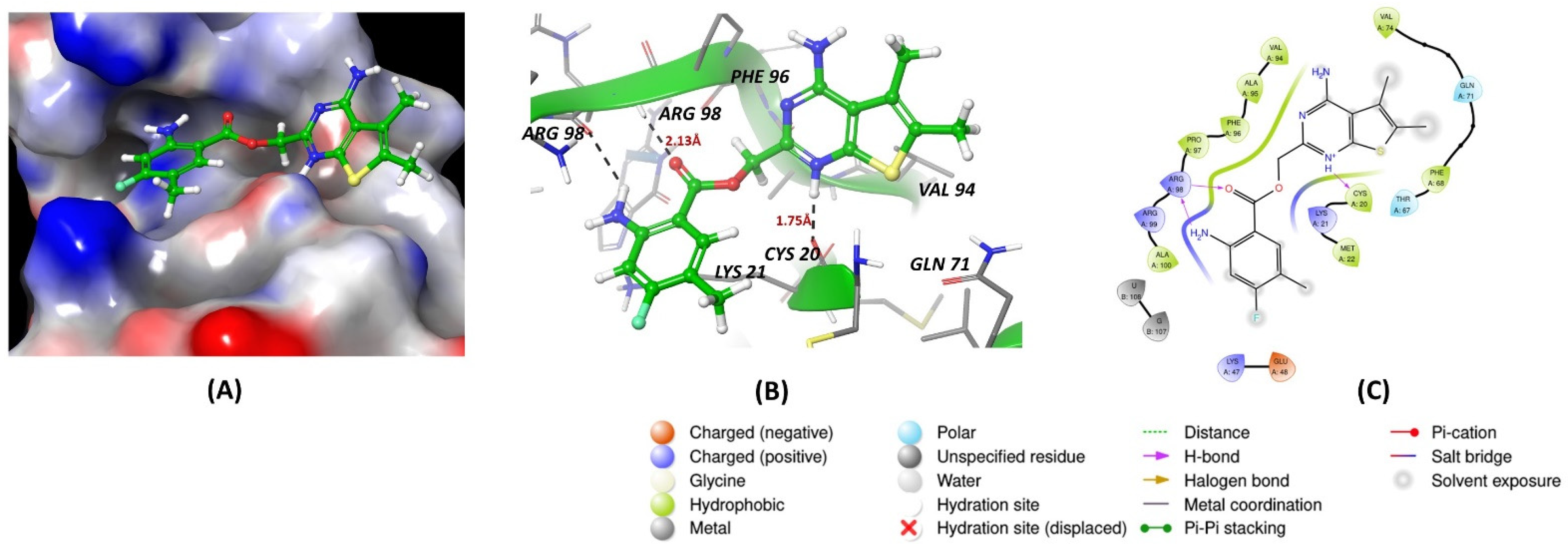 Cancers 16 03502 g002a
