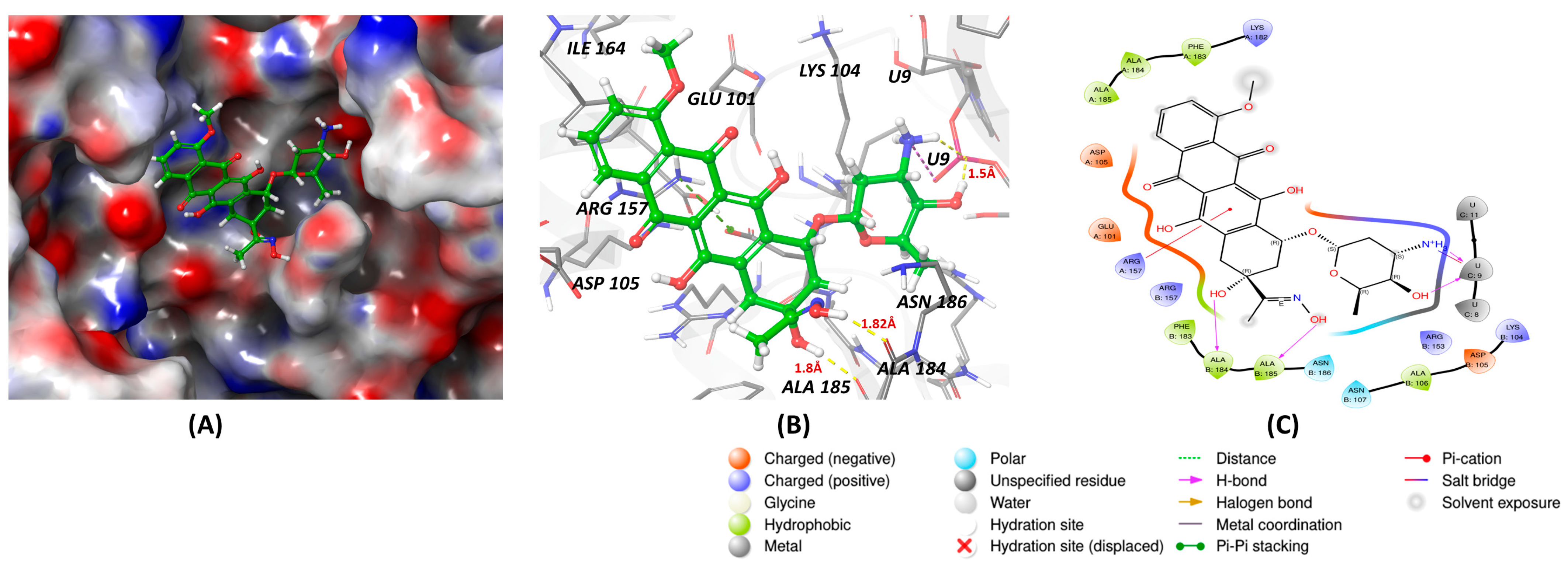Cancers 16 03502 g004a